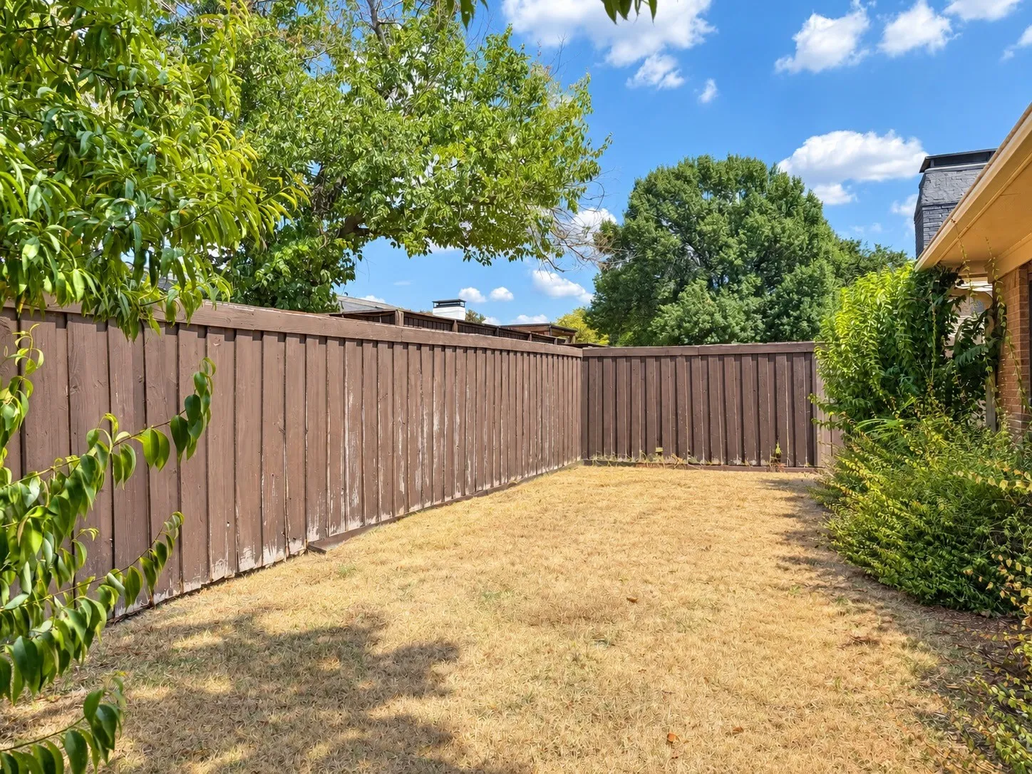 Back Yard