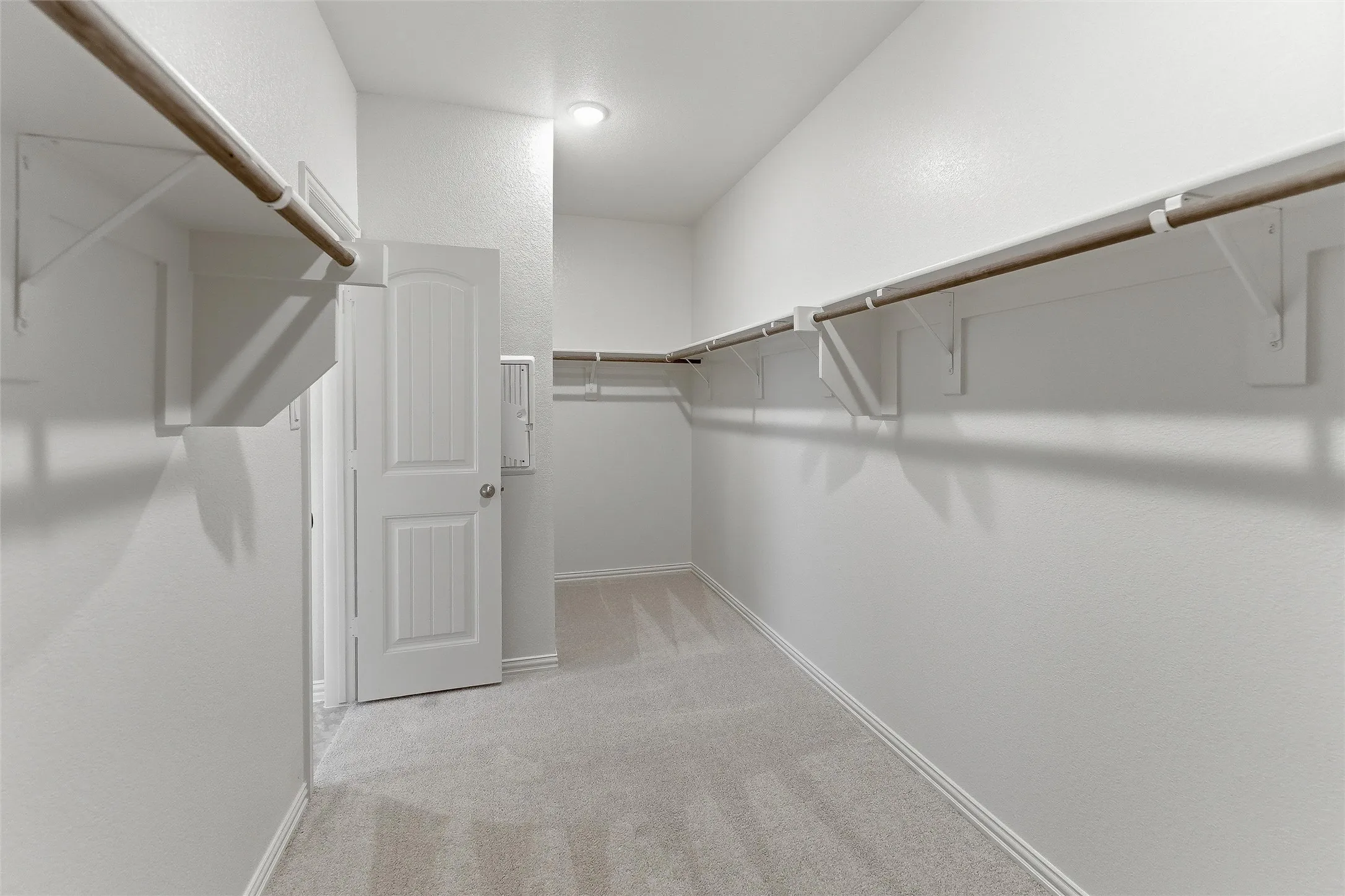 Spacious walk-in closet featuring light gray carpeting, crisp white walls, extensive shelving, and multiple hanging rods for organization
