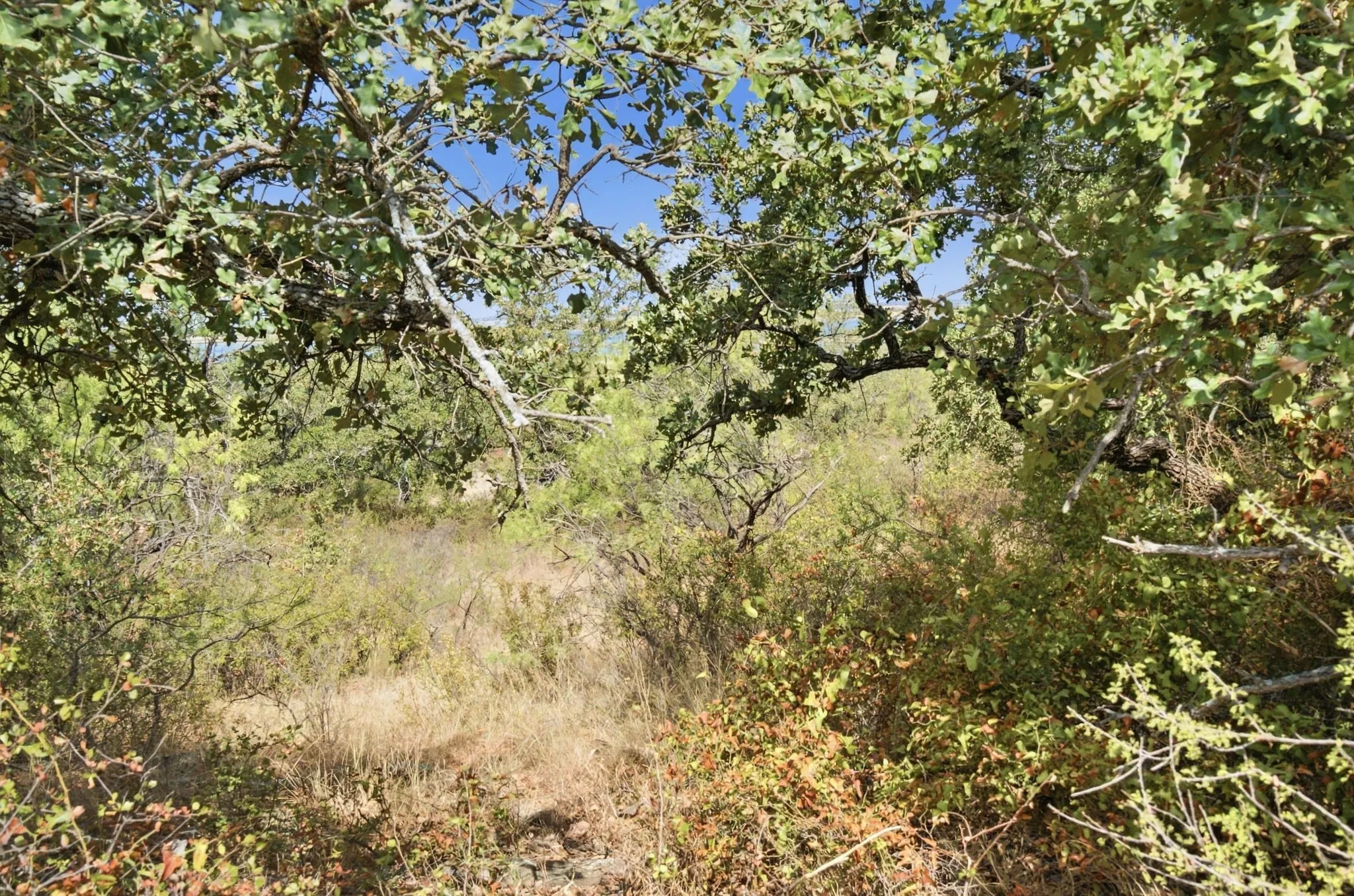Unimproved Land For Sale in Stephens County , 5079 County Road 206, Breckenridge, Texas 76424, 0, 0, Garage spaces, 0 Sqft, built in 0, mls#21385924, Real Estate Agent in Breckenridge, Homes For Sale in Stephens county, Homes For Sale in Breckenridge, Realtor in Breckenridge Texas, Real Estate Brokerage Independent Realty Texas, Luminita Cordes Realtor