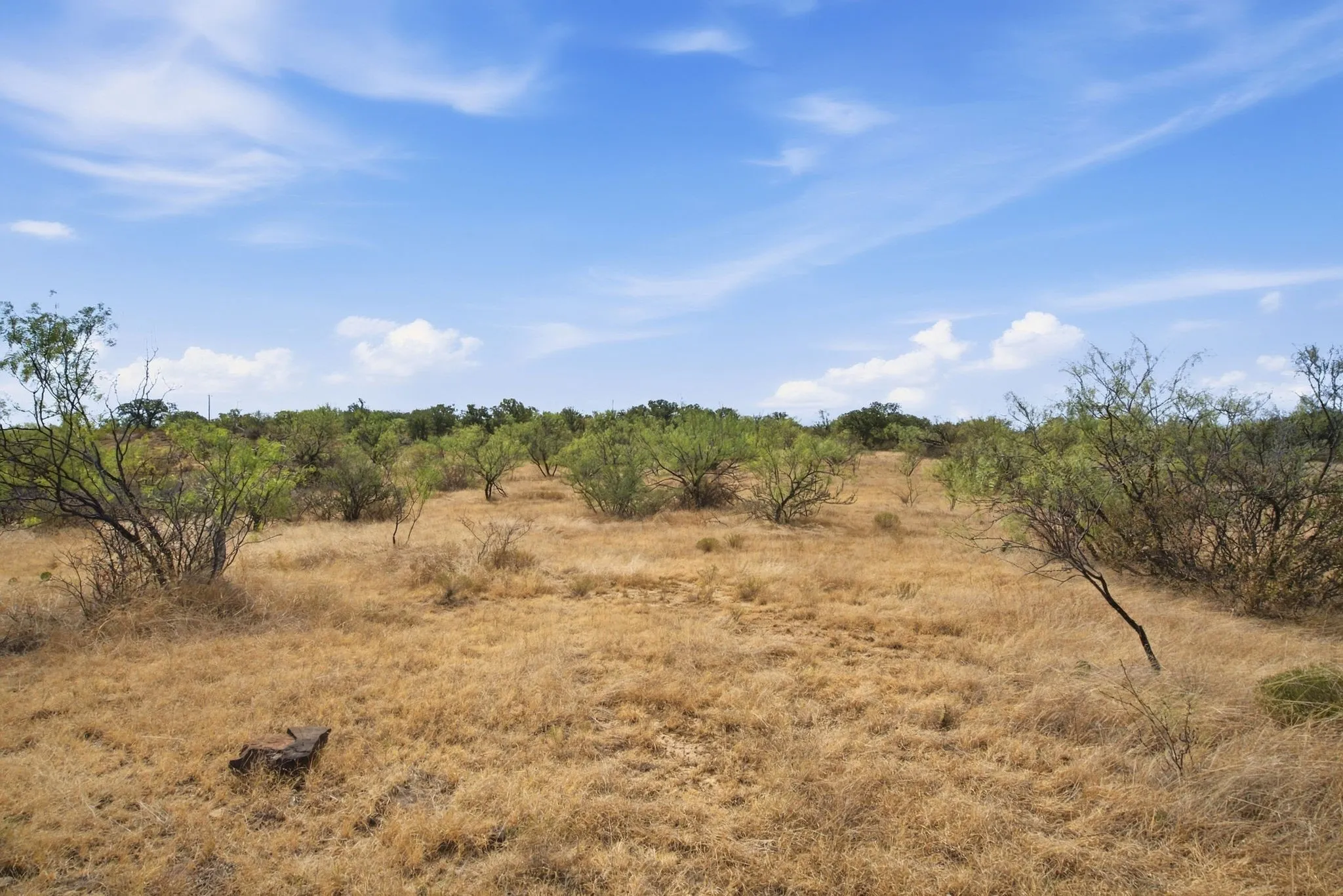 Unimproved Land For Sale in Stephens County , 5079 County Road 206, Breckenridge, Texas 76424, 0, 0, Garage spaces, 0 Sqft, built in 0, mls#21385924, Real Estate Agent in Breckenridge, Homes For Sale in Stephens county, Homes For Sale in Breckenridge, Realtor in Breckenridge Texas, Real Estate Brokerage Independent Realty Texas, Luminita Cordes Realtor