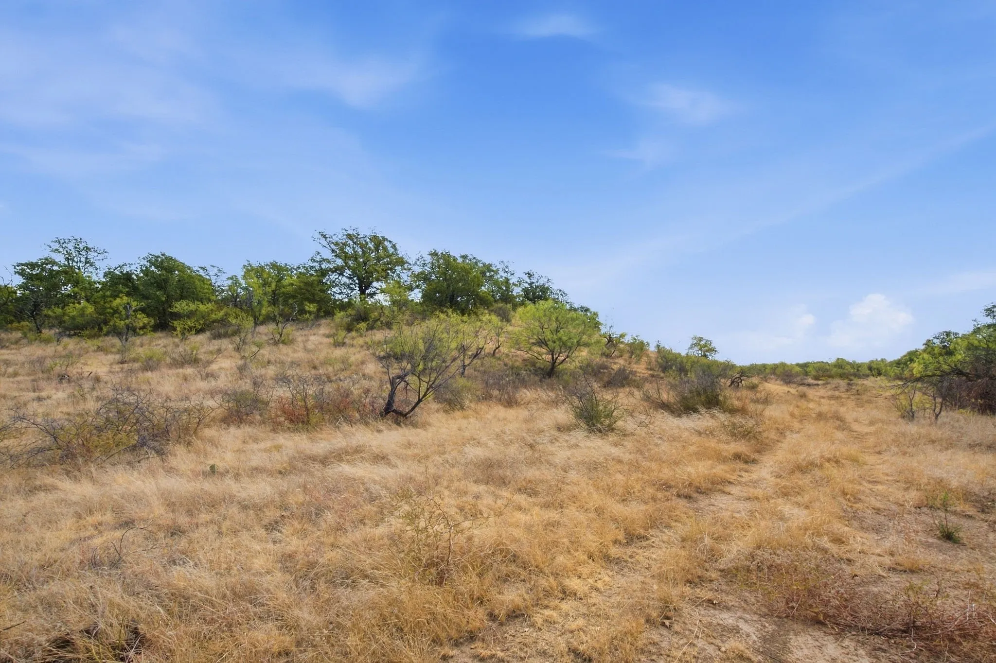 Unimproved Land For Sale in Stephens County , 5079 County Road 206, Breckenridge, Texas 76424, 0, 0, Garage spaces, 0 Sqft, built in 0, mls#21385924, Real Estate Agent in Breckenridge, Homes For Sale in Stephens county, Homes For Sale in Breckenridge, Realtor in Breckenridge Texas, Real Estate Brokerage Independent Realty Texas, Luminita Cordes Realtor