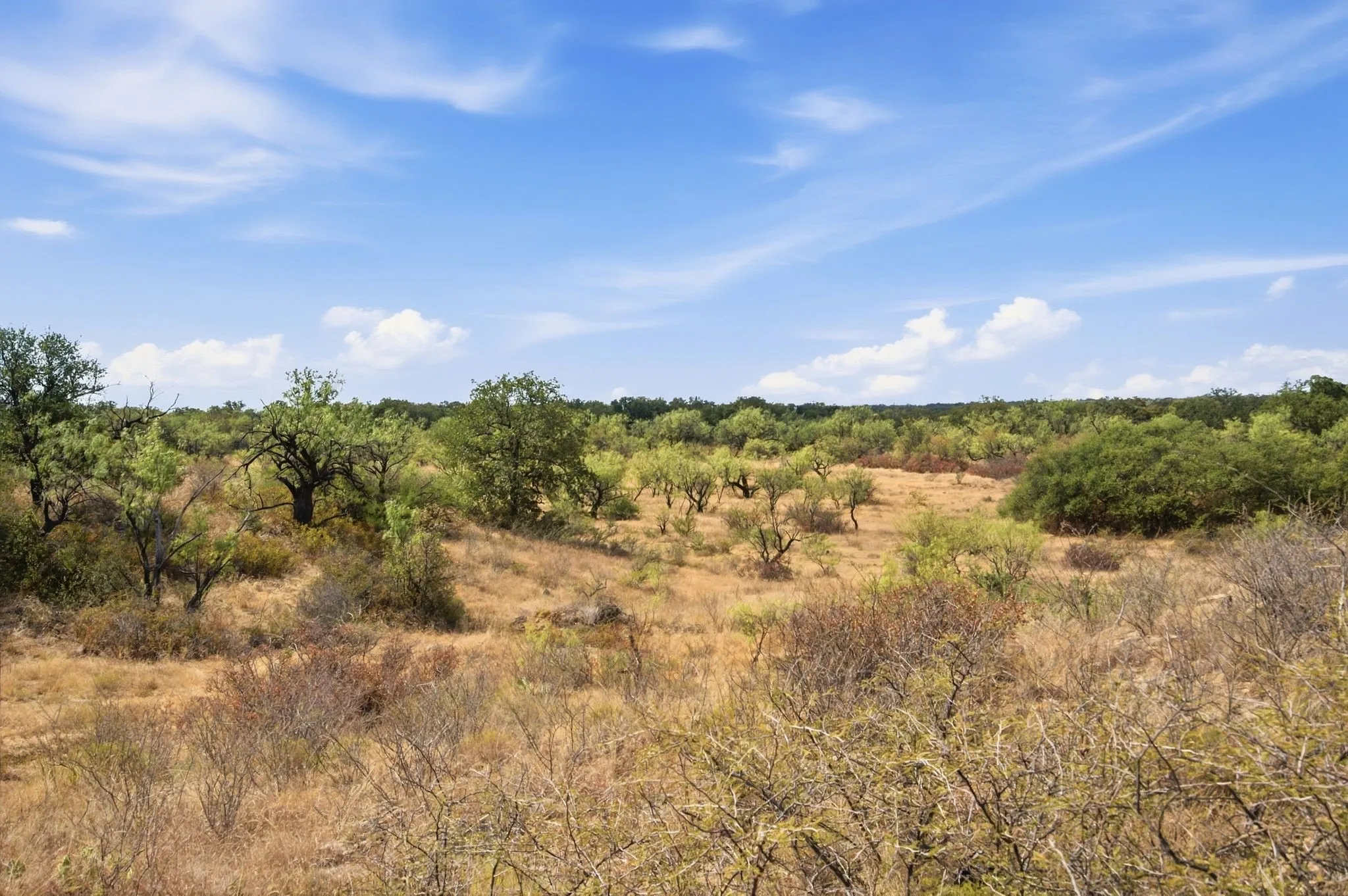 Unimproved Land For Sale in Stephens County , 5079 County Road 206, Breckenridge, Texas 76424, 0, 0, Garage spaces, 0 Sqft, built in 0, mls#21385924, Real Estate Agent in Breckenridge, Homes For Sale in Stephens county, Homes For Sale in Breckenridge, Realtor in Breckenridge Texas, Real Estate Brokerage Independent Realty Texas, Luminita Cordes Realtor
