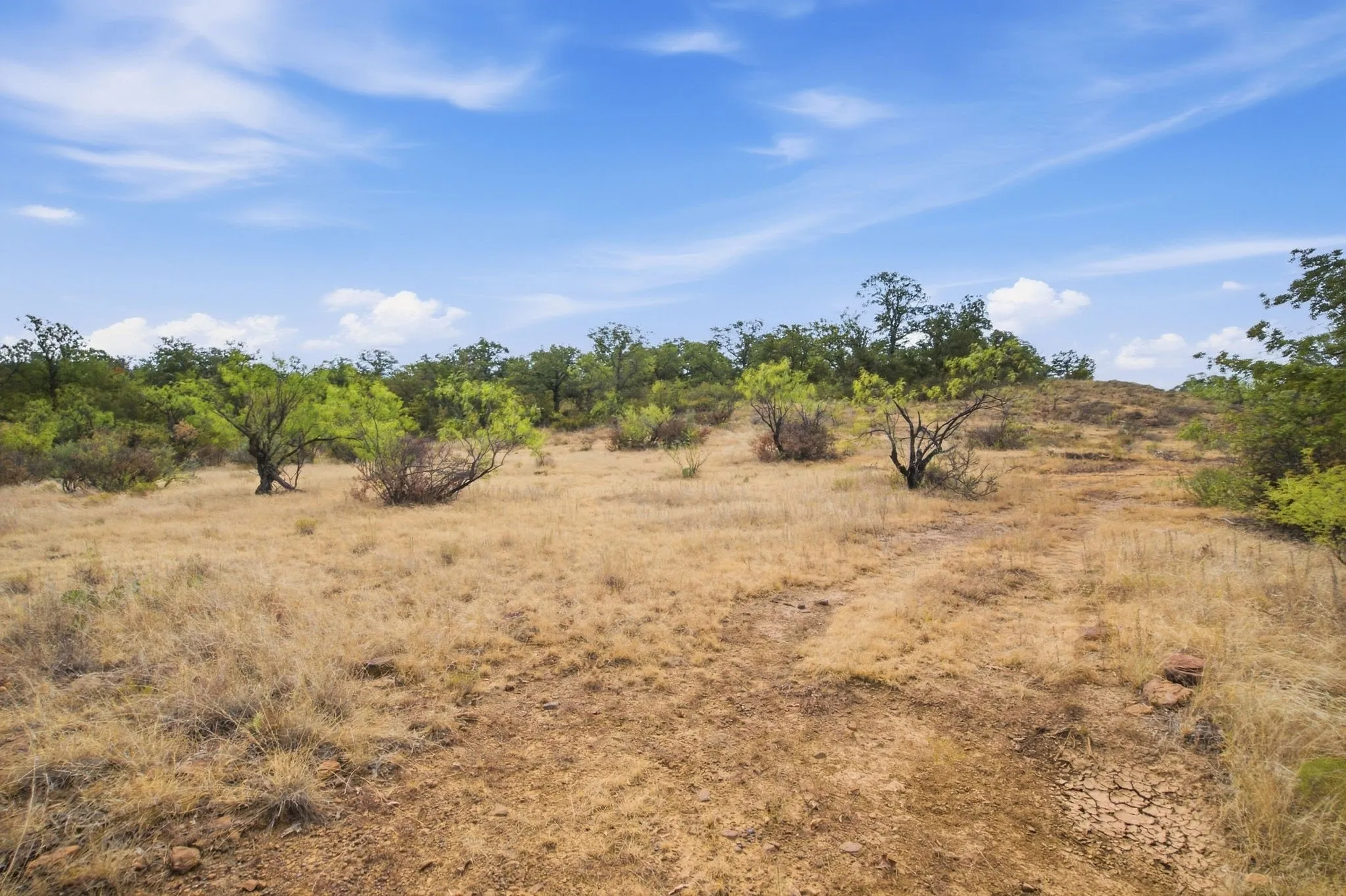 Unimproved Land For Sale in Stephens County , 5079 County Road 206, Breckenridge, Texas 76424, 0, 0, Garage spaces, 0 Sqft, built in 0, mls#21385924, Real Estate Agent in Breckenridge, Homes For Sale in Stephens county, Homes For Sale in Breckenridge, Realtor in Breckenridge Texas, Real Estate Brokerage Independent Realty Texas, Luminita Cordes Realtor