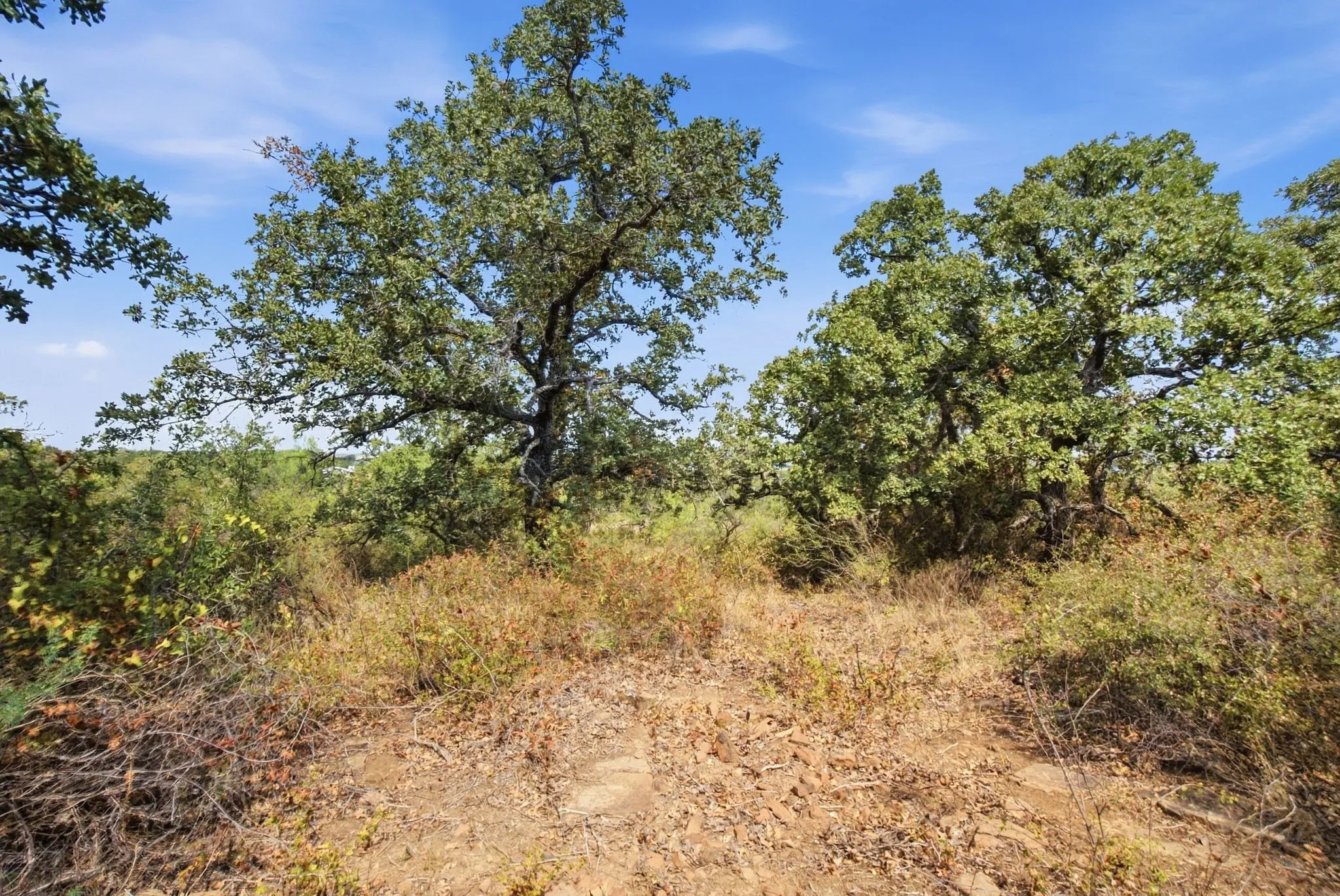 Unimproved Land For Sale in Stephens County , 5079 County Road 206, Breckenridge, Texas 76424, 0, 0, Garage spaces, 0 Sqft, built in 0, mls#21385924, Real Estate Agent in Breckenridge, Homes For Sale in Stephens county, Homes For Sale in Breckenridge, Realtor in Breckenridge Texas, Real Estate Brokerage Independent Realty Texas, Luminita Cordes Realtor