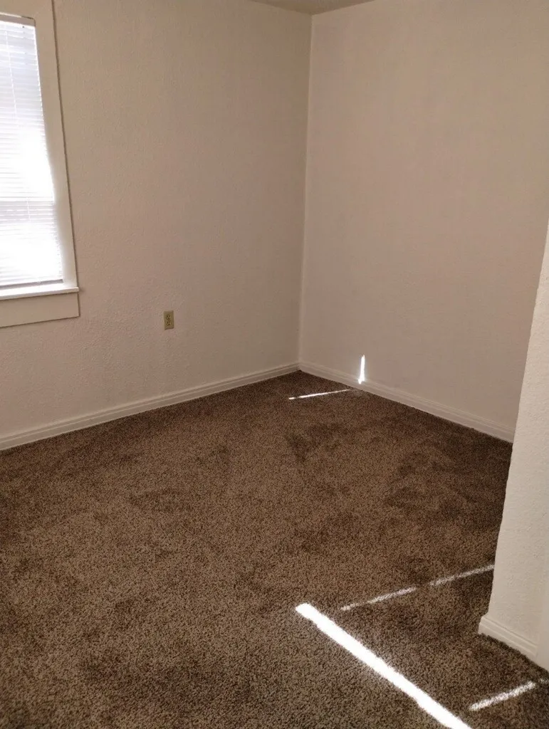 Brown pile carpeting, white wall paint, and window with blinds