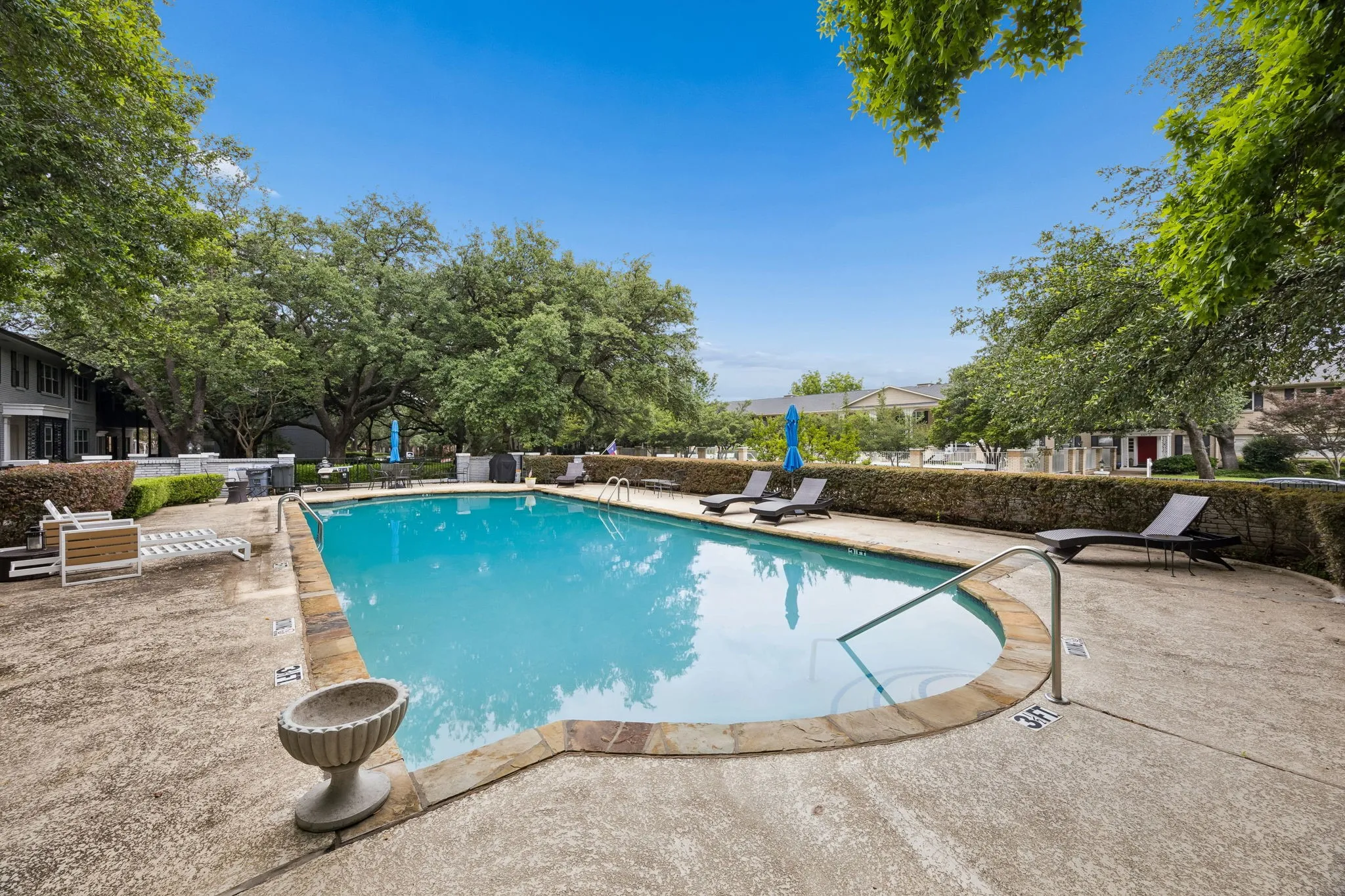 Curved swimming pool with stone coping and concrete surround, framed by mature trees