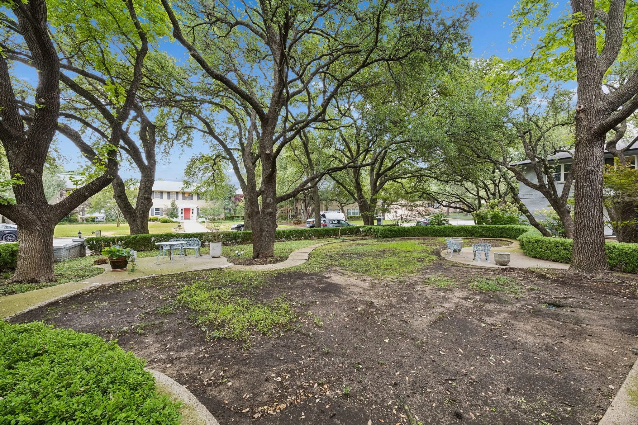 Expansive front yard featuring mature trees, a curved concrete pathway, and sculpted hedges