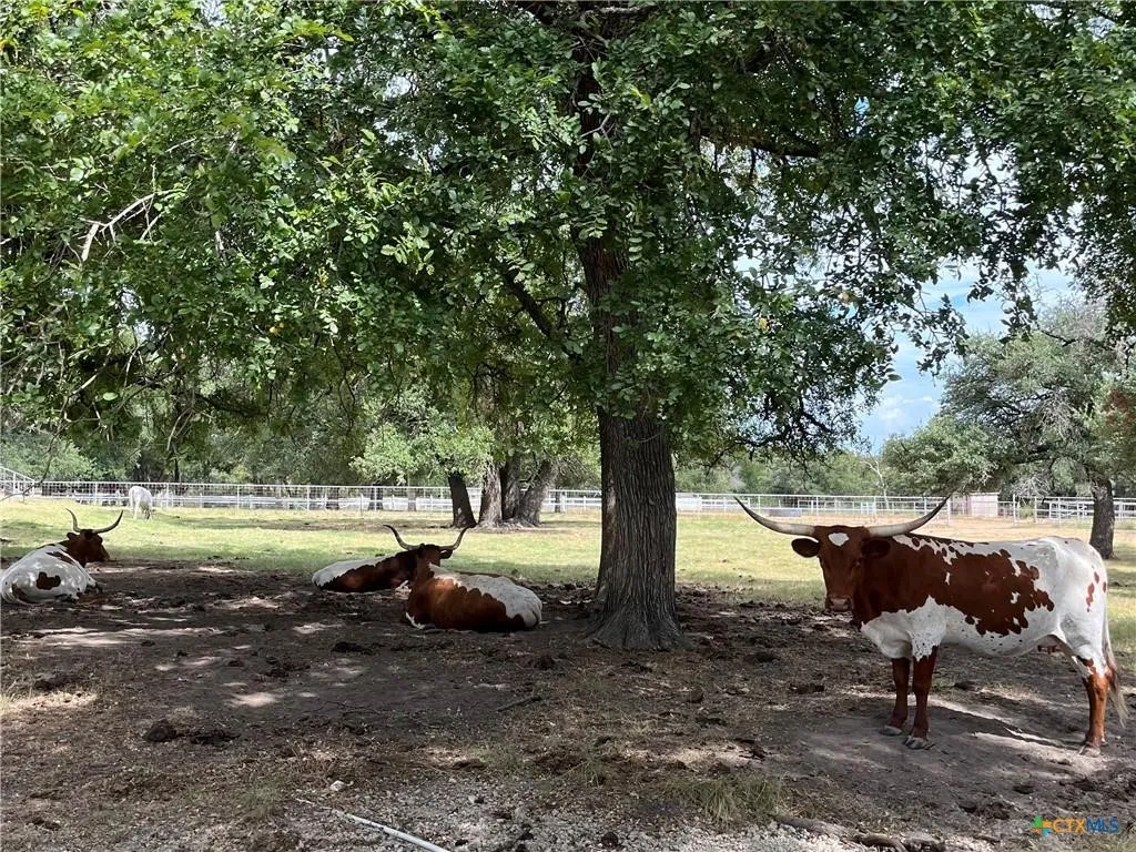 Ranch For Sale in Lampasas County , 4009 N Highway 183, Lampasas, Texas 76550, 0, 0, Garage spaces, 0 Sqft, built in 1950, mls#21385698, Real Estate Agent in Lampasas, Homes For Sale in Lampasas county, Homes For Sale in Lampasas, Realtor in Lampasas Texas, Real Estate Brokerage Independent Realty Texas, Luminita Cordes Realtor