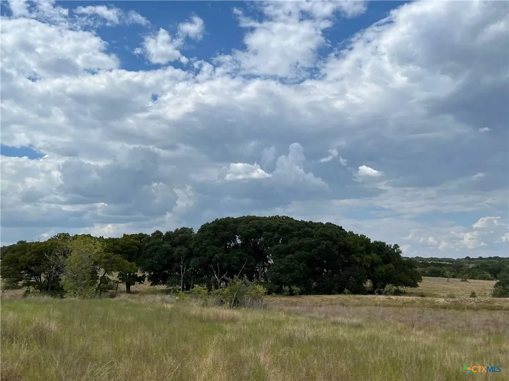 Ranch For Sale in Lampasas County , 4009 N Highway 183, Lampasas, Texas 76550, 0, 0, Garage spaces, 0 Sqft, built in 1950, mls#21385698, Real Estate Agent in Lampasas, Homes For Sale in Lampasas county, Homes For Sale in Lampasas, Realtor in Lampasas Texas, Real Estate Brokerage Independent Realty Texas, Luminita Cordes Realtor