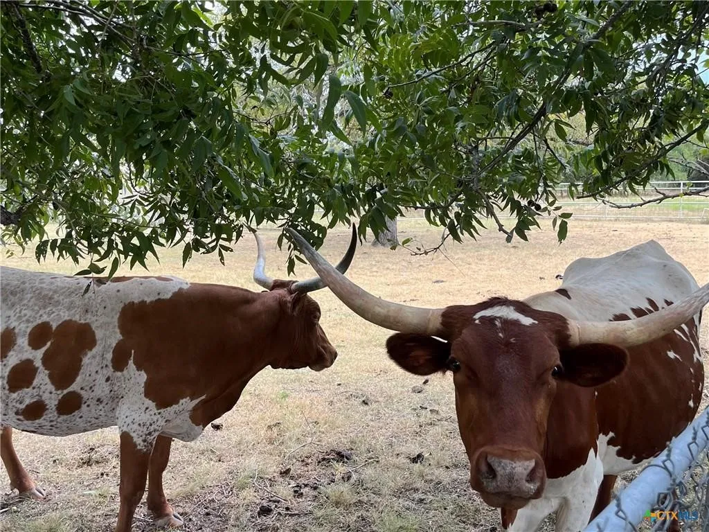 Ranch For Sale in Lampasas County , 4009 N Highway 183, Lampasas, Texas 76550, 0, 0, Garage spaces, 0 Sqft, built in 1950, mls#21385698, Real Estate Agent in Lampasas, Homes For Sale in Lampasas county, Homes For Sale in Lampasas, Realtor in Lampasas Texas, Real Estate Brokerage Independent Realty Texas, Luminita Cordes Realtor