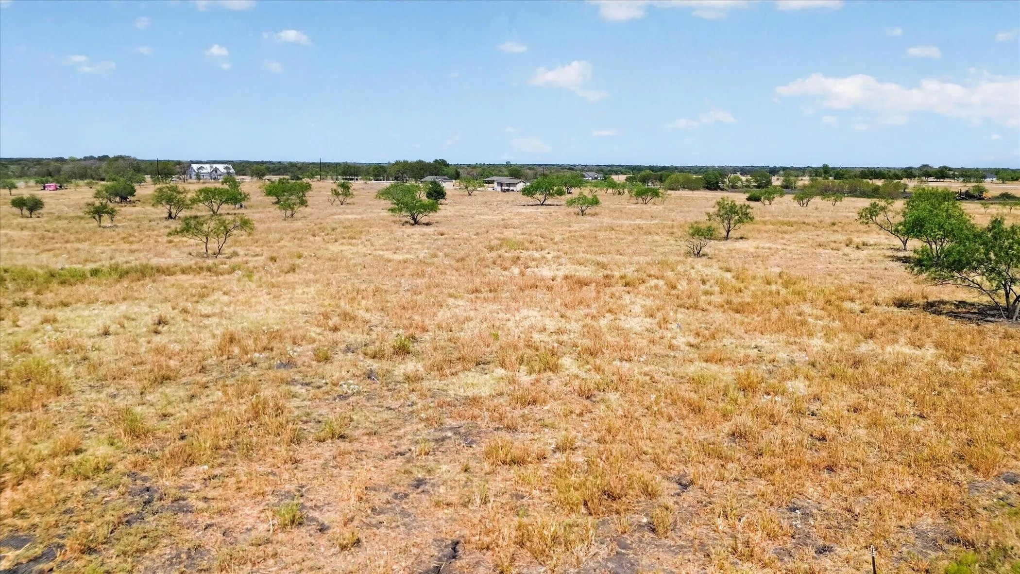 Expansive undeveloped land with scattered mature trees and distant structures under a clear sky