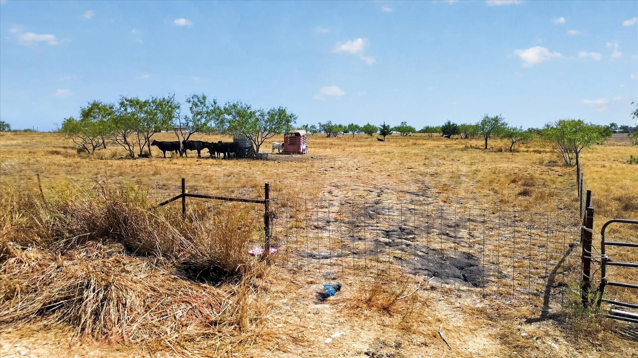 Expansive open land featuring a wire fence and scattered trees