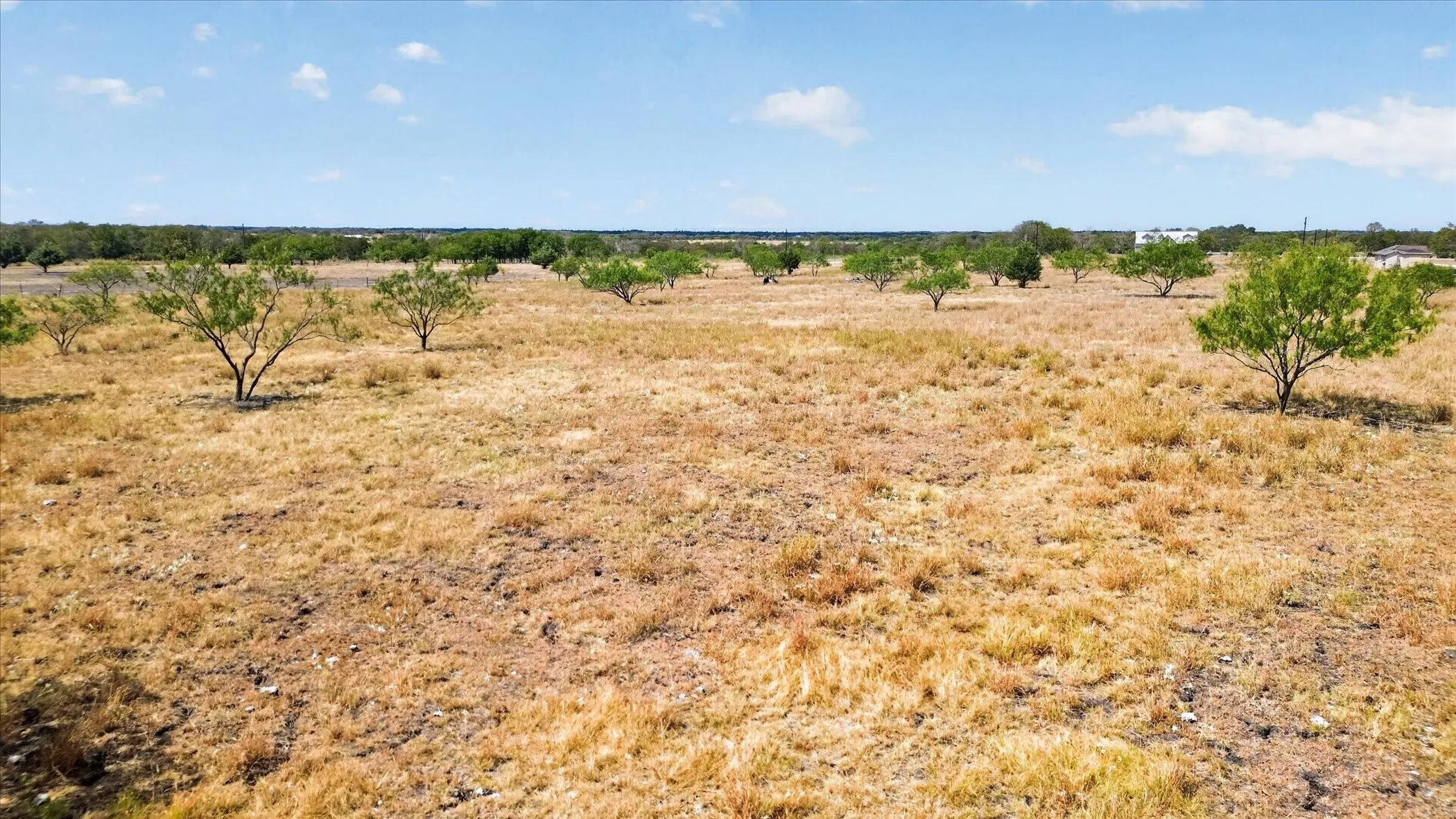 Expansive undeveloped land with scattered mature trees and distant residential structures