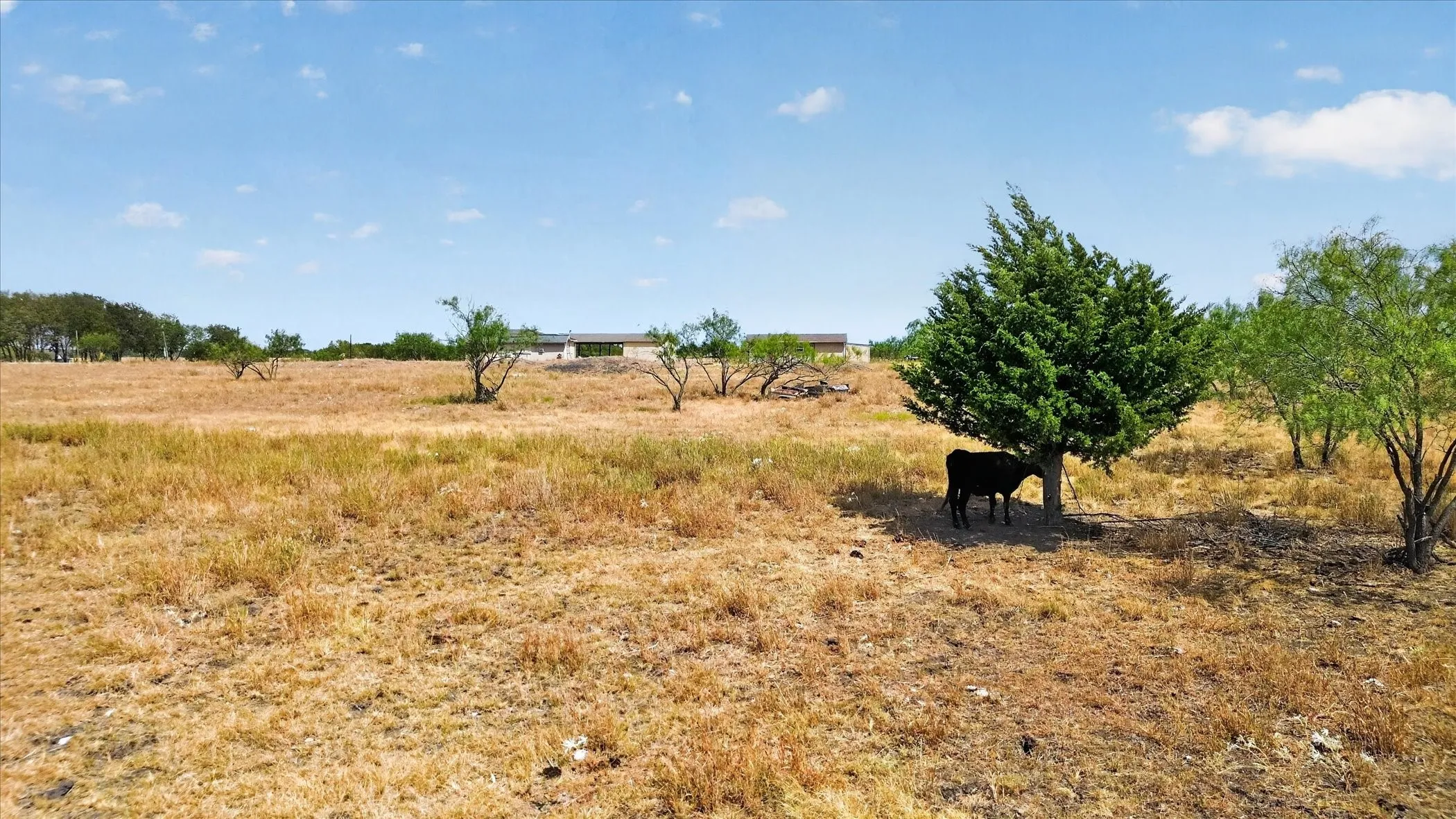 Expansive land parcel featuring open fields and distant structures
