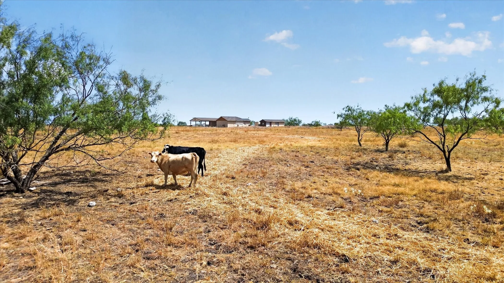 Unimproved Land For Sale in Navarro County , TBD NW Co RD 1160 Road, Corsicana, Texas 75110, 0, 0, Garage spaces, 0 Sqft, built in 0, mls#21385038, Real Estate Agent in Corsicana, Homes For Sale in Navarro county, Homes For Sale in Corsicana, Realtor in Corsicana Texas, Real Estate Brokerage Independent Realty Texas, Luminita Cordes Realtor