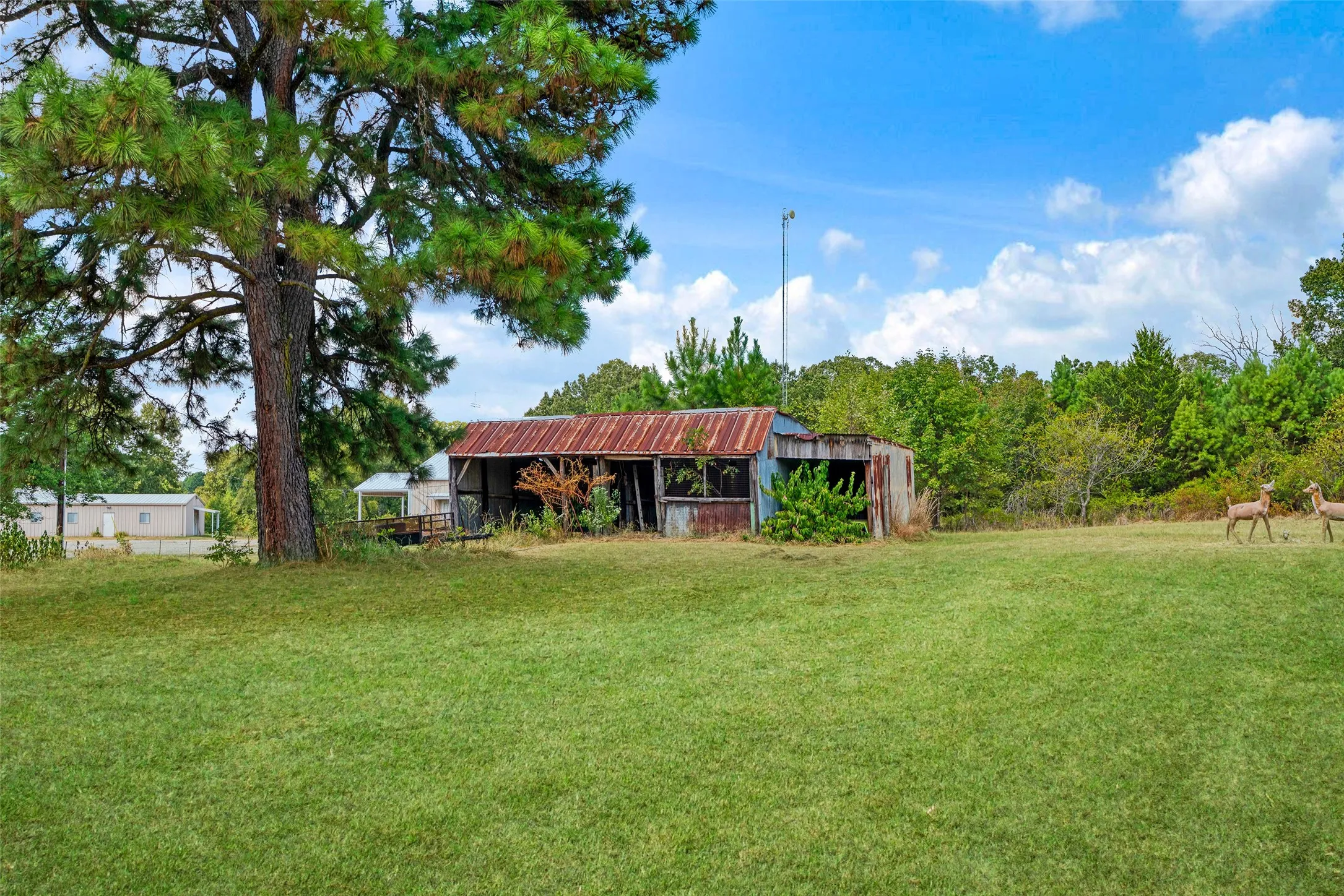 Single Family Residence For Sale in Lamar County , 506 County Road 34710, Paris, Texas 75460, 3 Bedroom, 1 Bathroom, 2 Garage spaces, 1,288 Sqft, built in 0, mls#21380991, Real Estate Agent in Paris, Homes For Sale in Lamar county, Homes For Sale in Paris, Realtor in Paris Texas, Real Estate Brokerage Independent Realty Texas, Luminita Cordes Realtor
