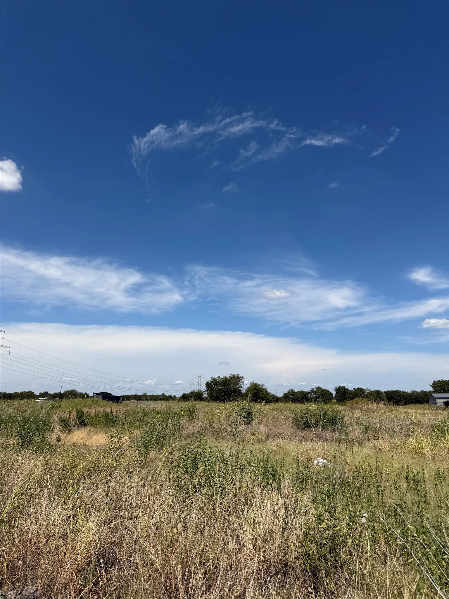 Unimproved Land For Sale in Collin County , Lot 10 COUNTY ROAD 590, Nevada, Texas 75173, 0, 0, Garage spaces, 0 Sqft, built in 0, mls#21387018, Real Estate Agent in Nevada, Homes For Sale in Collin county, Homes For Sale in Nevada, Realtor in Nevada Texas, Real Estate Brokerage Independent Realty Texas, Luminita Cordes Realtor