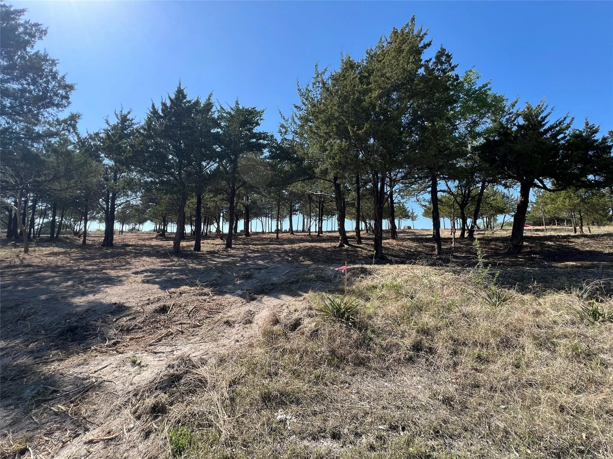 Unimproved Land For Sale in Ellis County , TBD Lot 30 Ridgecrest Drive, Waxahachie, Texas 75165, 0, 0, Garage spaces, 0 Sqft, built in 0, mls#21387027, Real Estate Agent in Waxahachie, Homes For Sale in Ellis county, Homes For Sale in Waxahachie, Realtor in Waxahachie Texas, Real Estate Brokerage Independent Realty Texas, Luminita Cordes Realtor