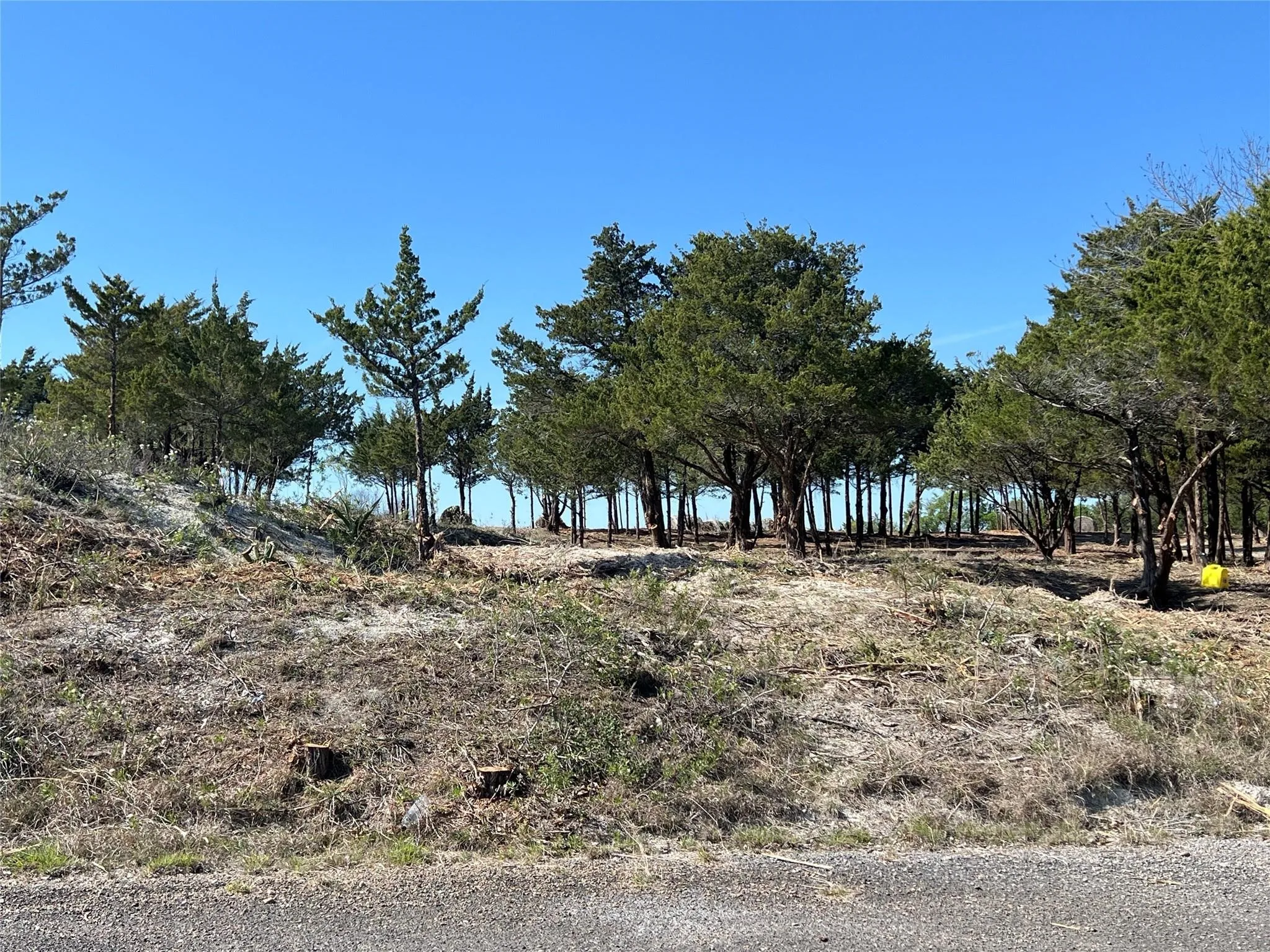 Unimproved Land For Sale in Ellis County , TBD Lot 30 Ridgecrest Drive, Waxahachie, Texas 75165, 0, 0, Garage spaces, 0 Sqft, built in 0, mls#21387027, Real Estate Agent in Waxahachie, Homes For Sale in Ellis county, Homes For Sale in Waxahachie, Realtor in Waxahachie Texas, Real Estate Brokerage Independent Realty Texas, Luminita Cordes Realtor