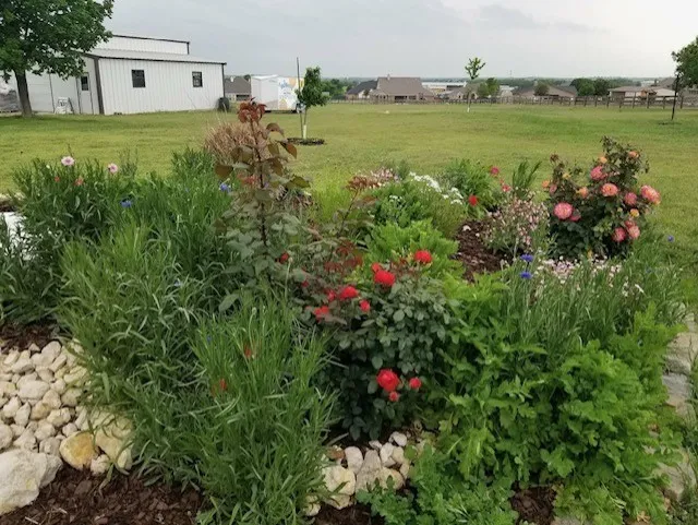 Single Family Residence For Sale in Wise County , 108 High Meadows Court, Decatur, Texas 76234, 3 Bedroom, 3 Bathroom, 2 Garage spaces, 2,536 Sqft, built in 2004, mls#21386971, Real Estate Agent in Decatur, Homes For Sale in Wise county, Homes For Sale in Decatur, Realtor in Decatur Texas, Real Estate Brokerage Independent Realty Texas, Luminita Cordes Realtor
