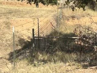 Unimproved Land For Sale in Wise County , 0 County Road 1790, Sunset, Texas 76270, 0, 0, Garage spaces, 0 Sqft, built in 0, mls#21386965, Real Estate Agent in Sunset, Homes For Sale in Wise county, Homes For Sale in Sunset, Realtor in Sunset Texas, Real Estate Brokerage Independent Realty Texas, Luminita Cordes Realtor