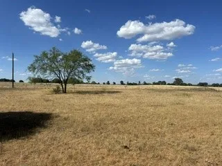 Clearing in the back of the property