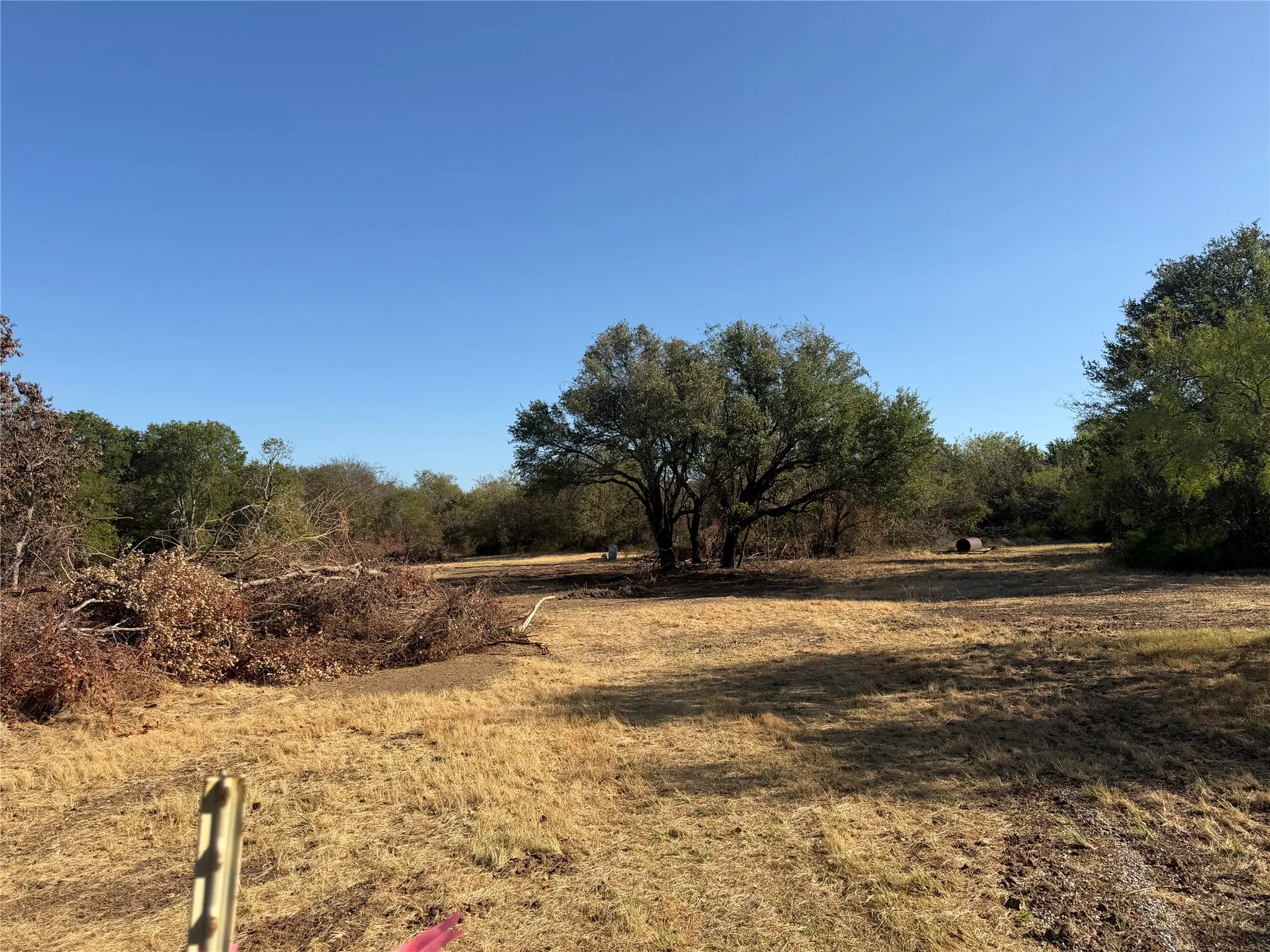 Expansive lot with mature trees and natural landscaping