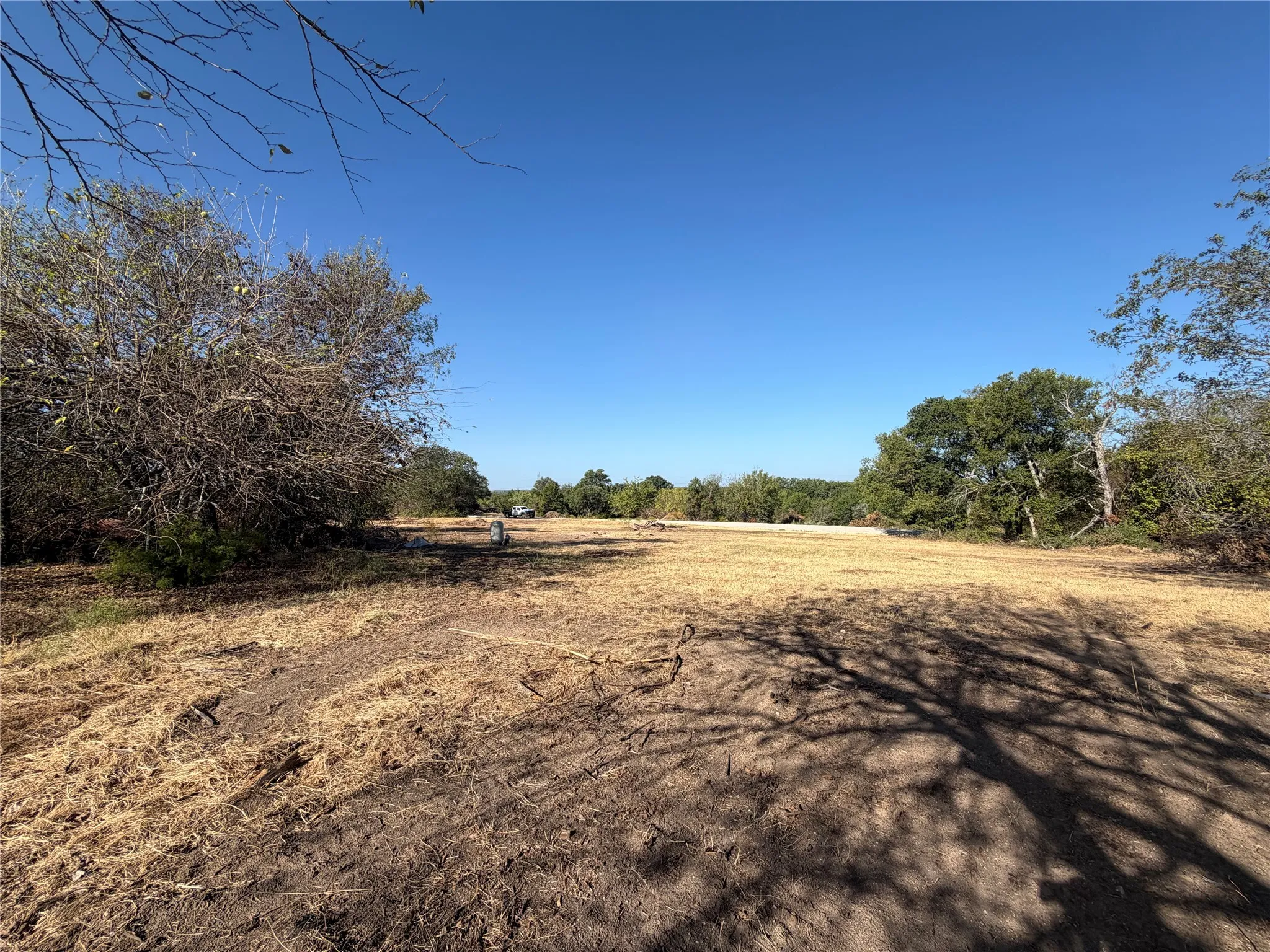 Expansive cleared land parcel with surrounding mature trees