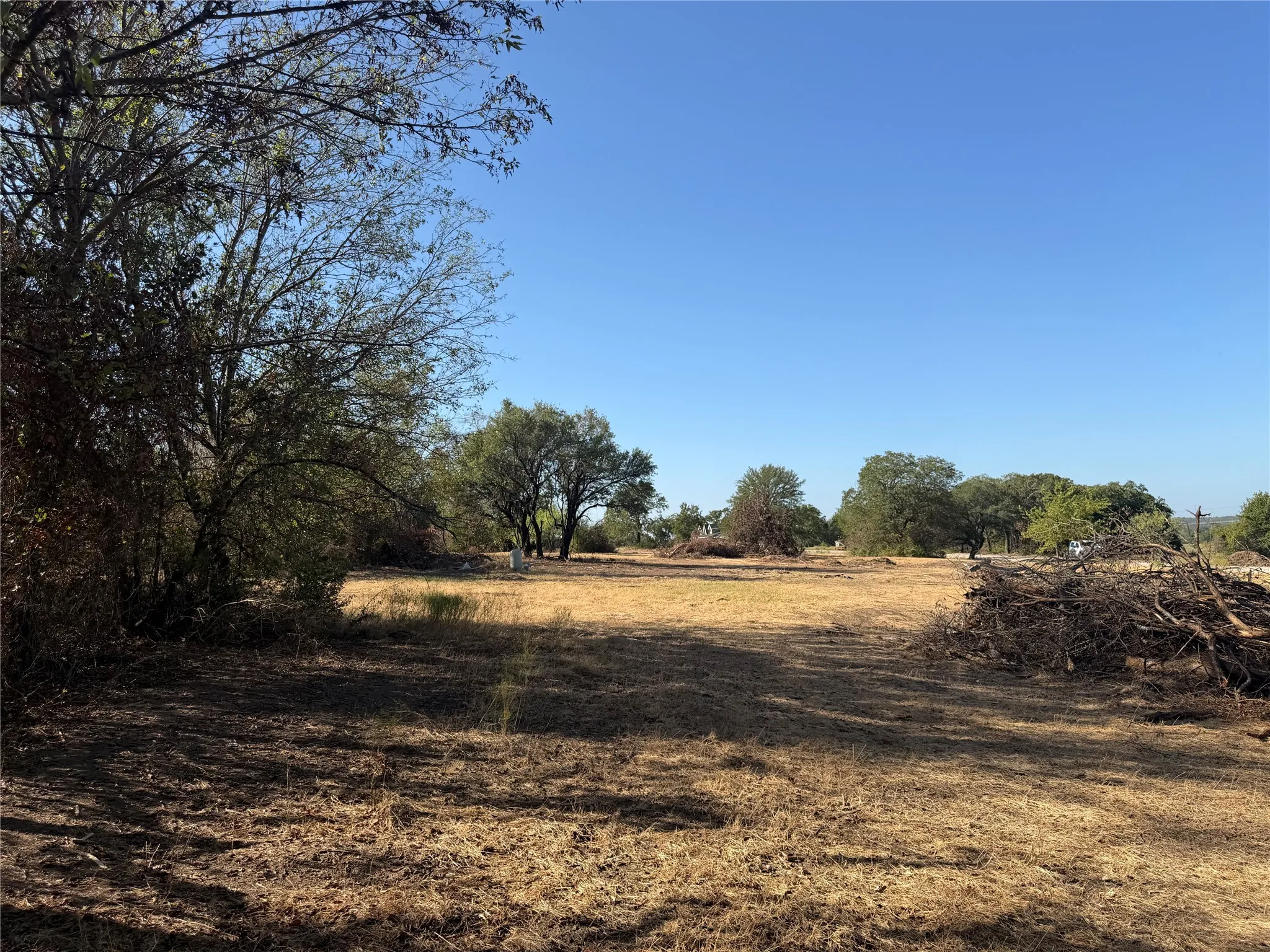Expansive open land with scattered mature trees and brush