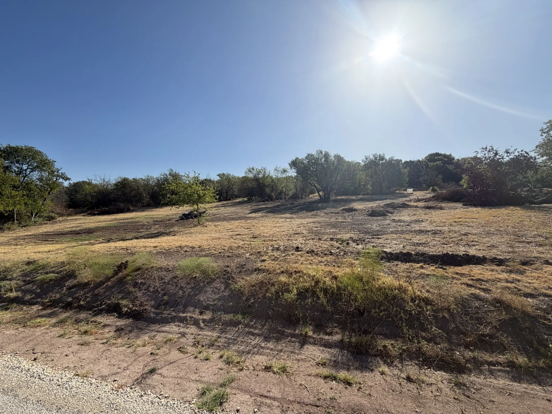 Expansive undeveloped lot with varied terrain and mature perimeter trees
