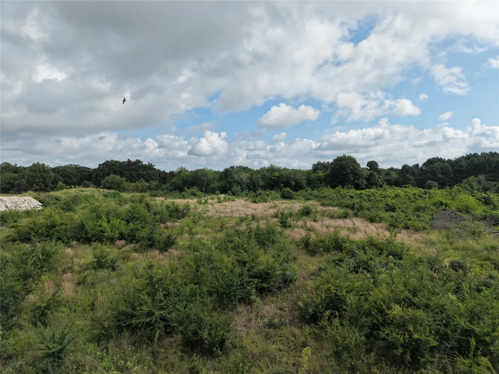 Unimproved Land For Sale in Kaufman County , 000 Hwy 175, Mabank, Texas 75147, 0, 0, Garage spaces, 0 Sqft, built in 0, mls#21387113, Real Estate Agent in Mabank, Homes For Sale in Kaufman county, Homes For Sale in Mabank, Realtor in Mabank Texas, Real Estate Brokerage Independent Realty Texas, Luminita Cordes Realtor