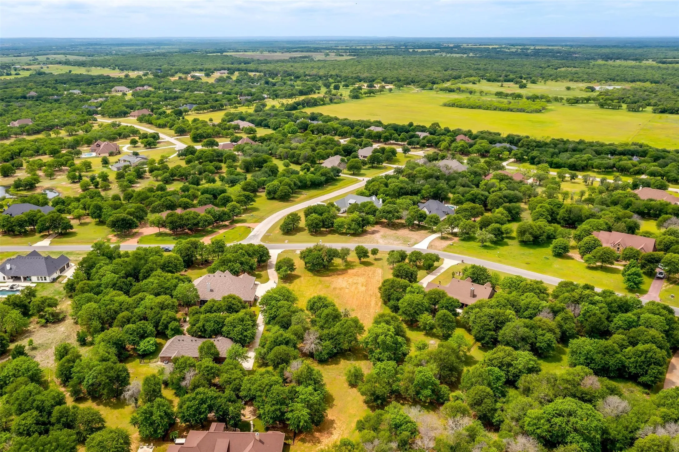View of bird's eye view