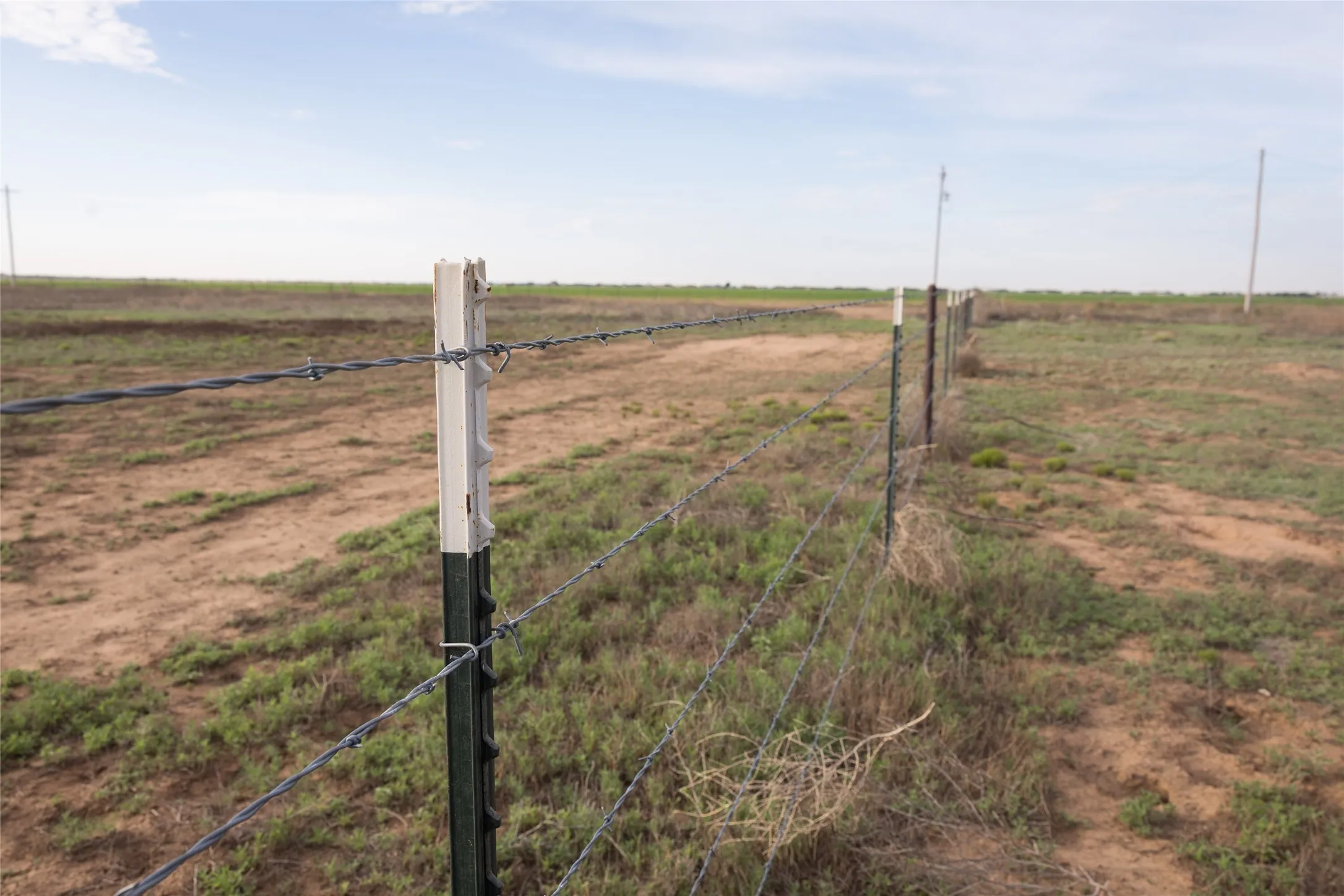 Ranch For Sale in Randall County , 7700 Hope Road, Amarillo, Texas 79119, 0, 0, Garage spaces, 0 Sqft, built in 2018, mls#21375306, Real Estate Agent in Amarillo, Homes For Sale in Randall county, Homes For Sale in Amarillo, Realtor in Amarillo Texas, Real Estate Brokerage Independent Realty Texas, Luminita Cordes Realtor