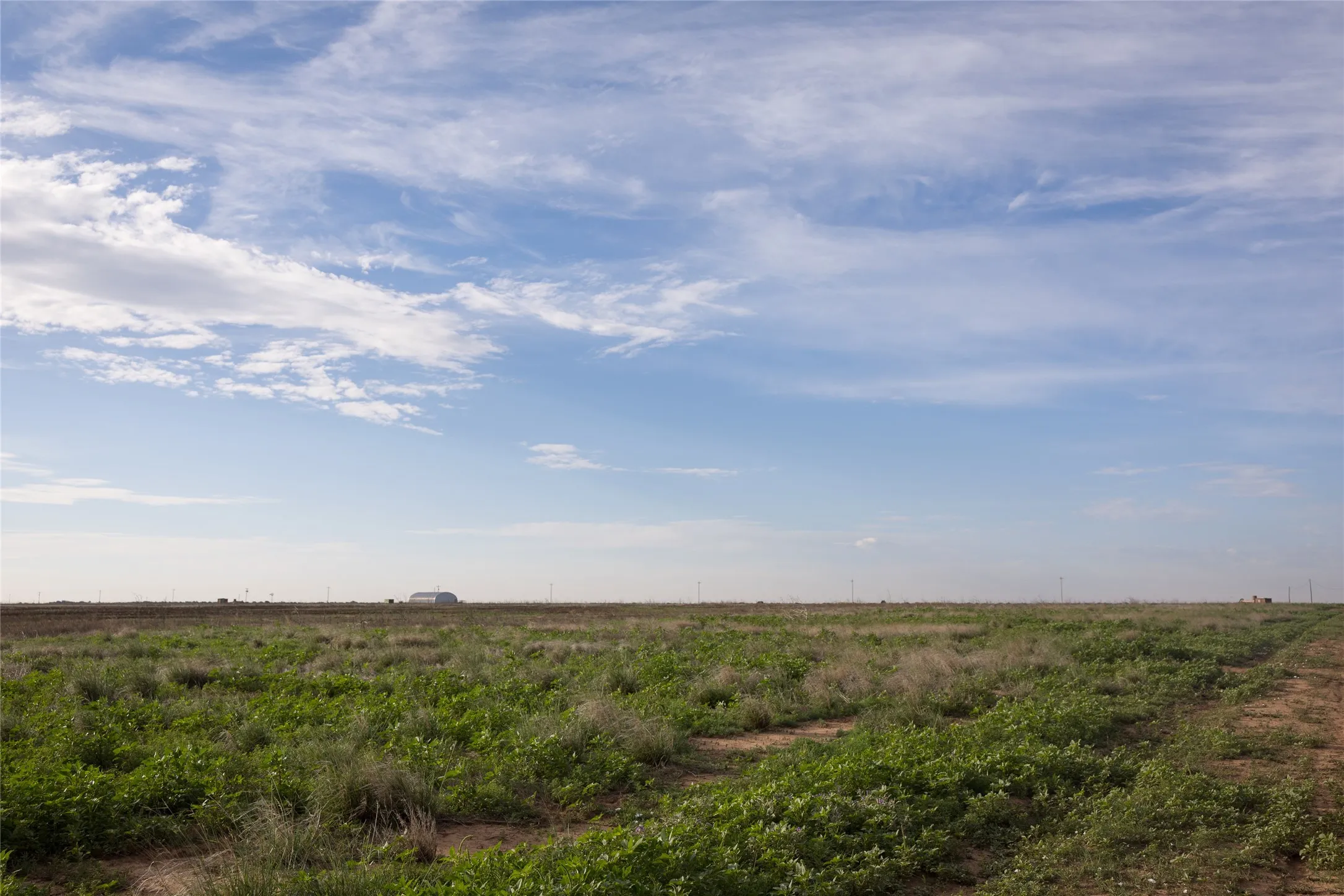 Ranch For Sale in Randall County , 7700 Hope Road, Amarillo, Texas 79119, 0, 0, Garage spaces, 0 Sqft, built in 2018, mls#21375306, Real Estate Agent in Amarillo, Homes For Sale in Randall county, Homes For Sale in Amarillo, Realtor in Amarillo Texas, Real Estate Brokerage Independent Realty Texas, Luminita Cordes Realtor