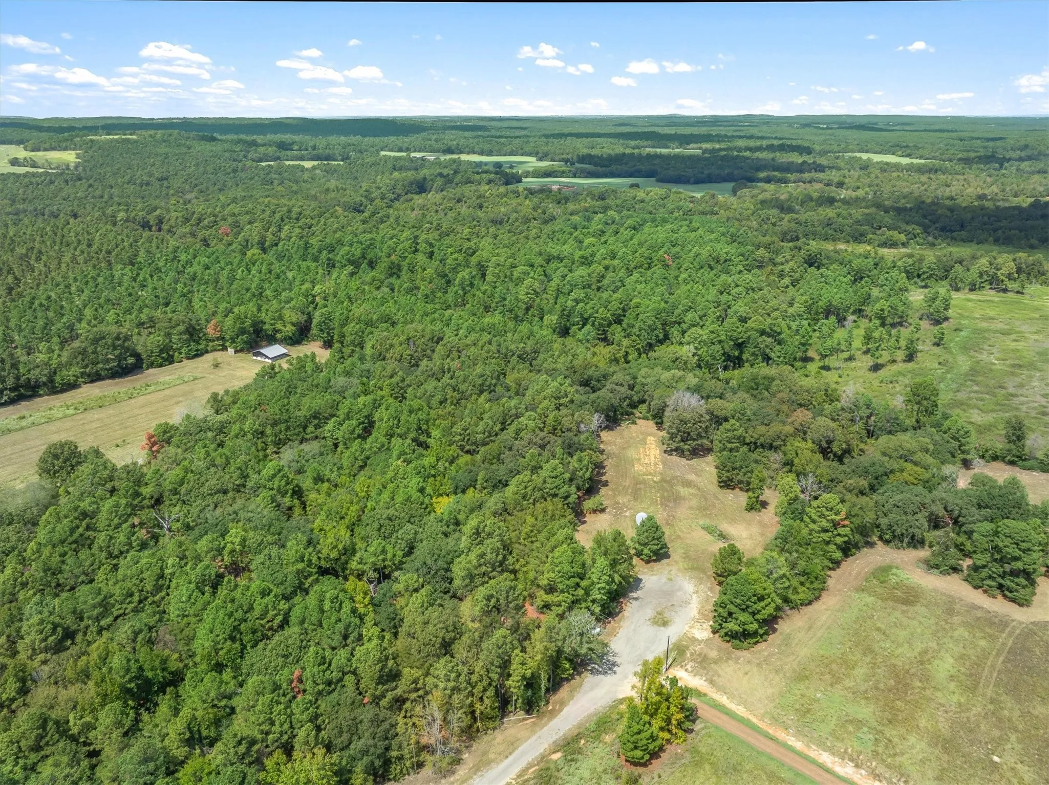 Expansive acreage featuring dense tree coverage, open clearings, and a partially graveled access drive