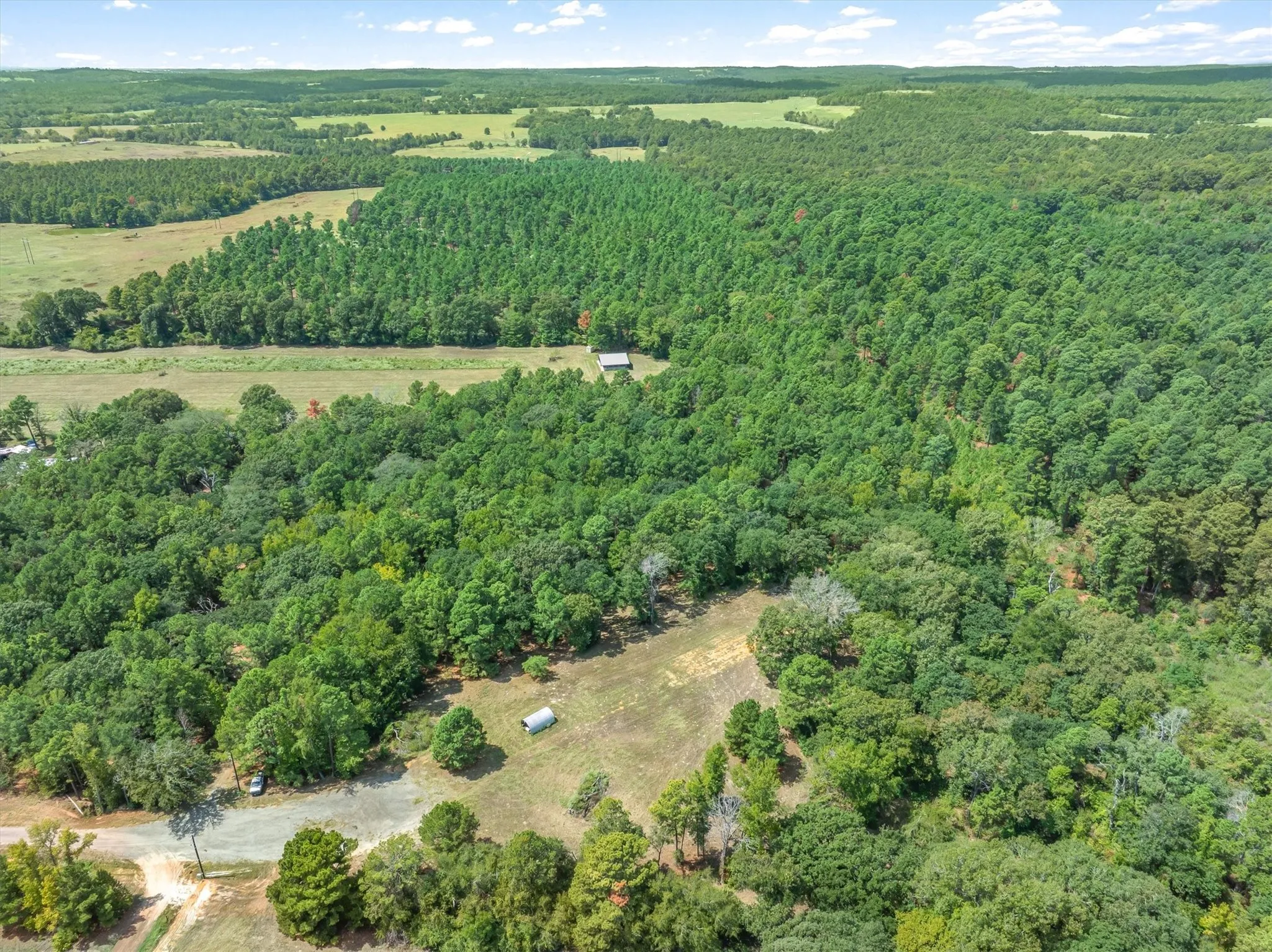 Expansive wooded acreage featuring diverse tree coverage and open clearings