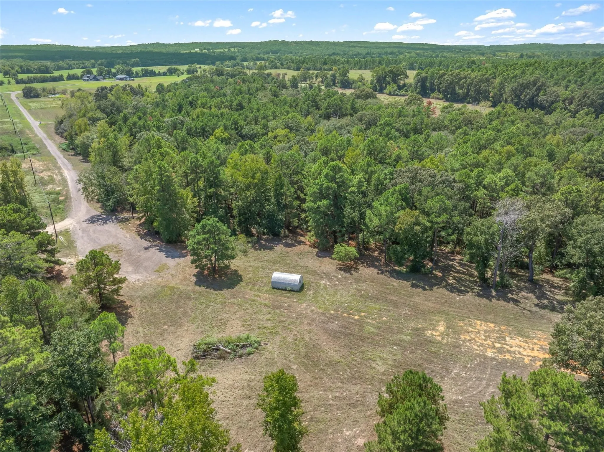 Expansive treed acreage with a cleared open field and a small storage structure