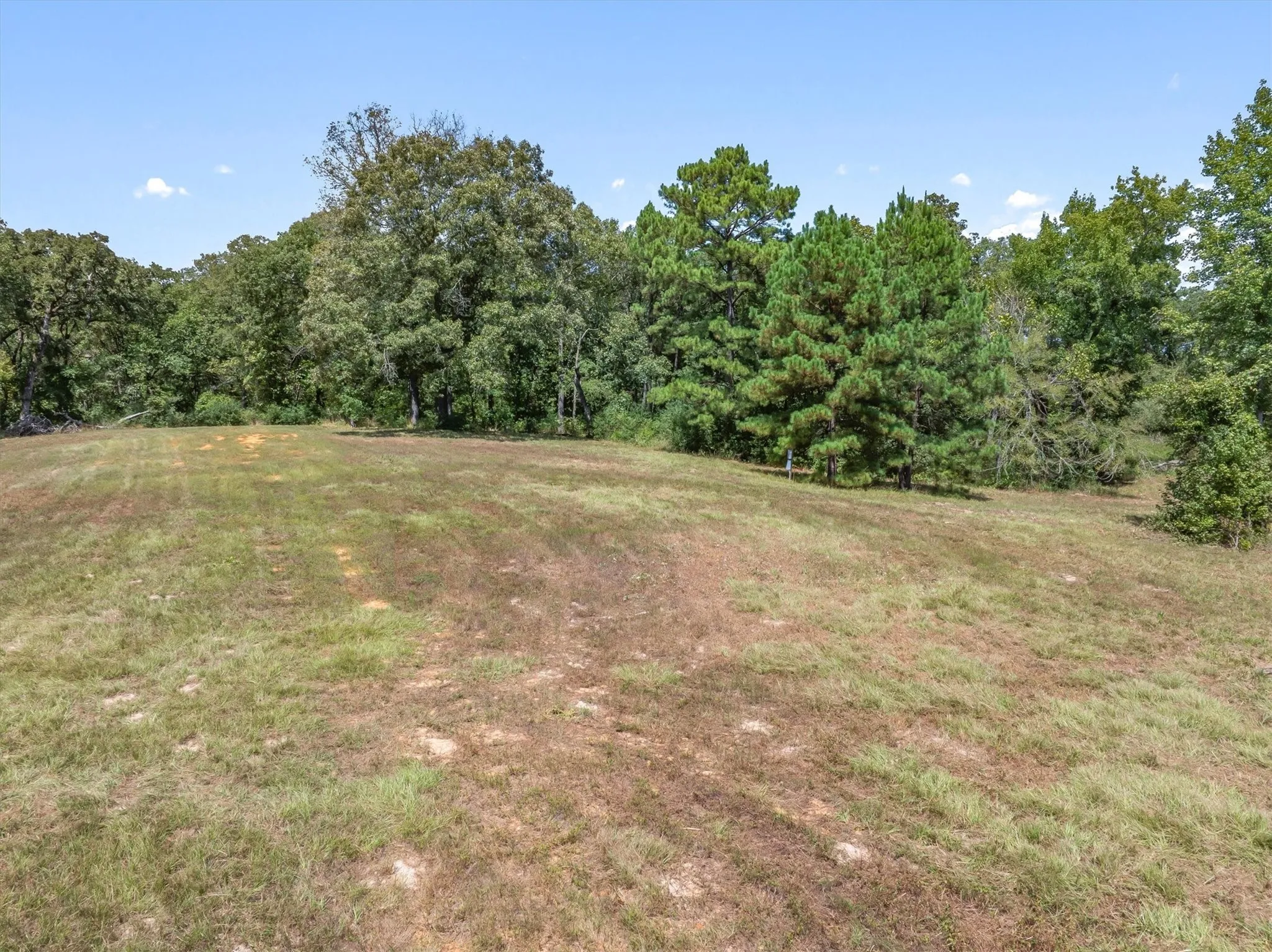 Expansive cleared land featuring mature trees and a clear blue sky