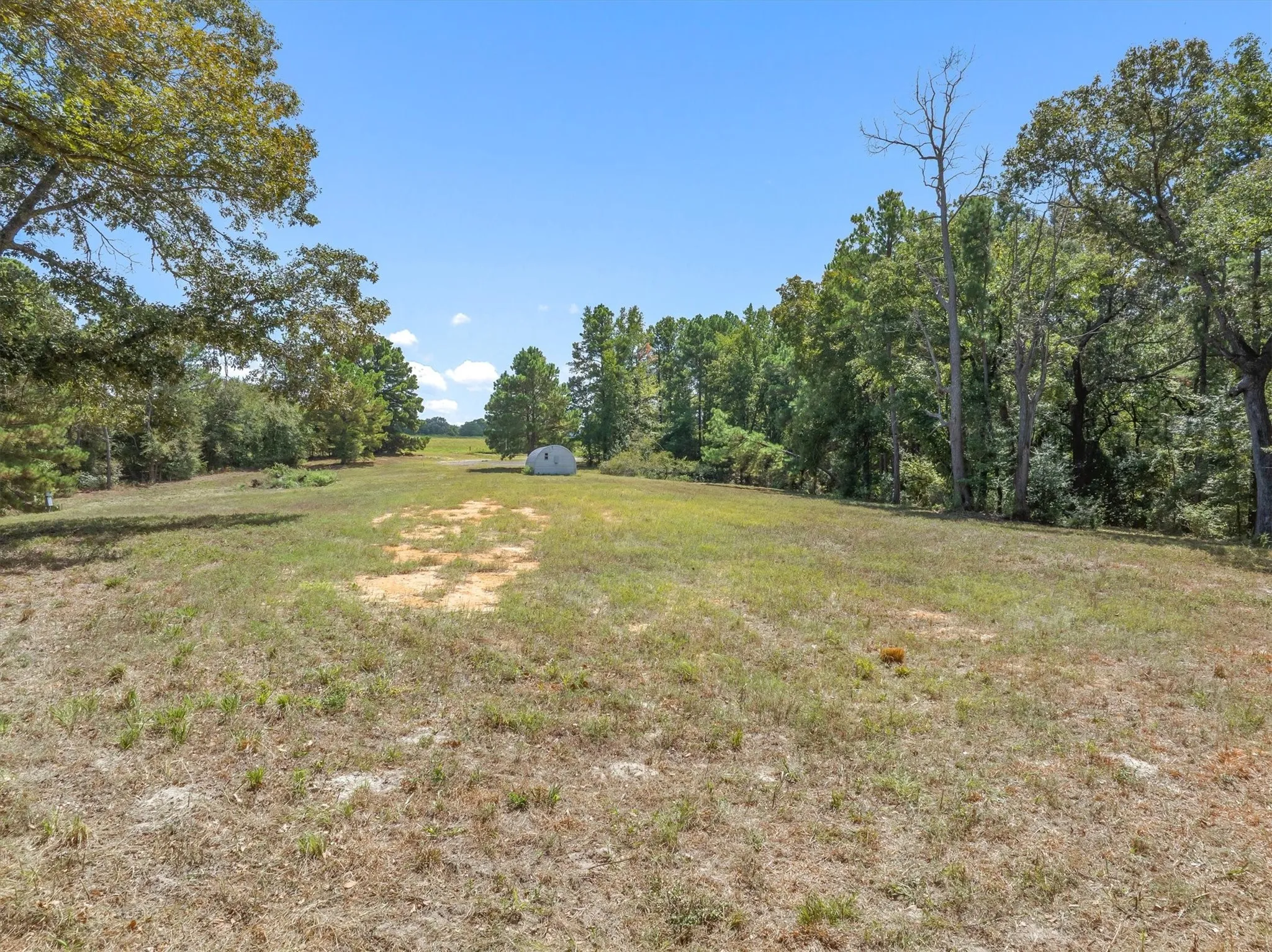 Expansive outdoor space featuring a detached storage structure, mature trees bordering the perimeter, and open grassy areas