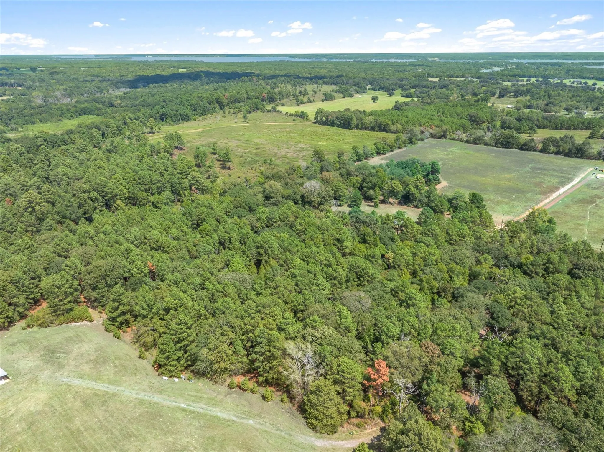 Expansive acreage with mature trees and open fields