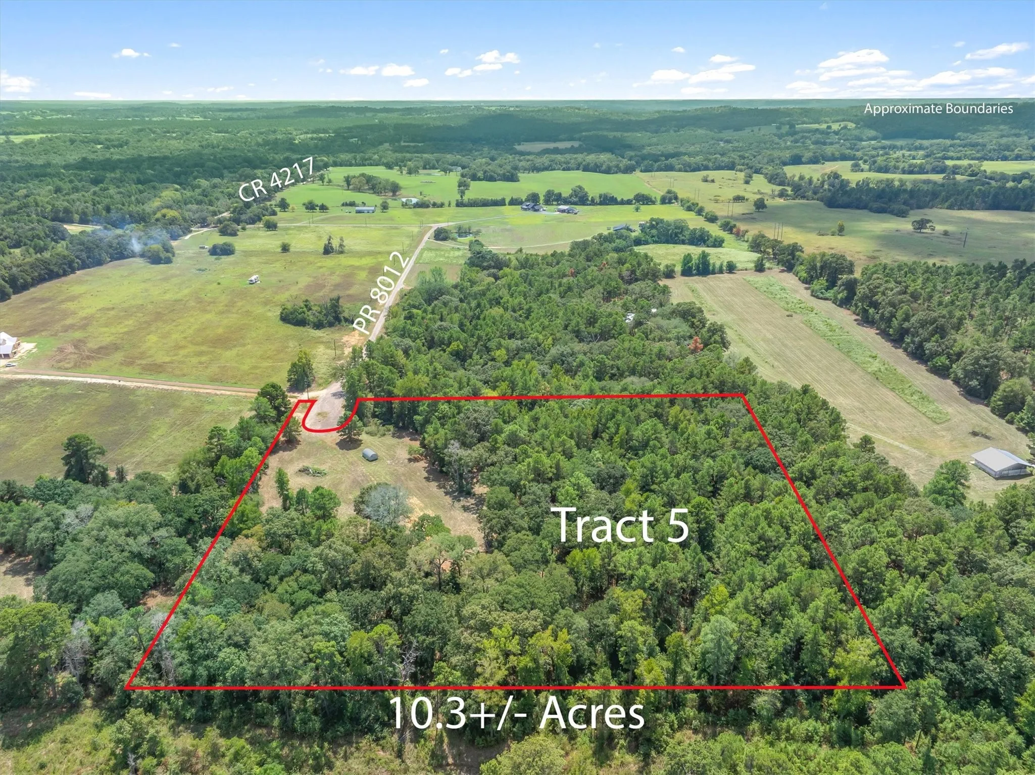 10.3+/- acre parcel featuring abundant mature trees, direct road frontage on PR 8012 and CR 4217, and surrounding open fields