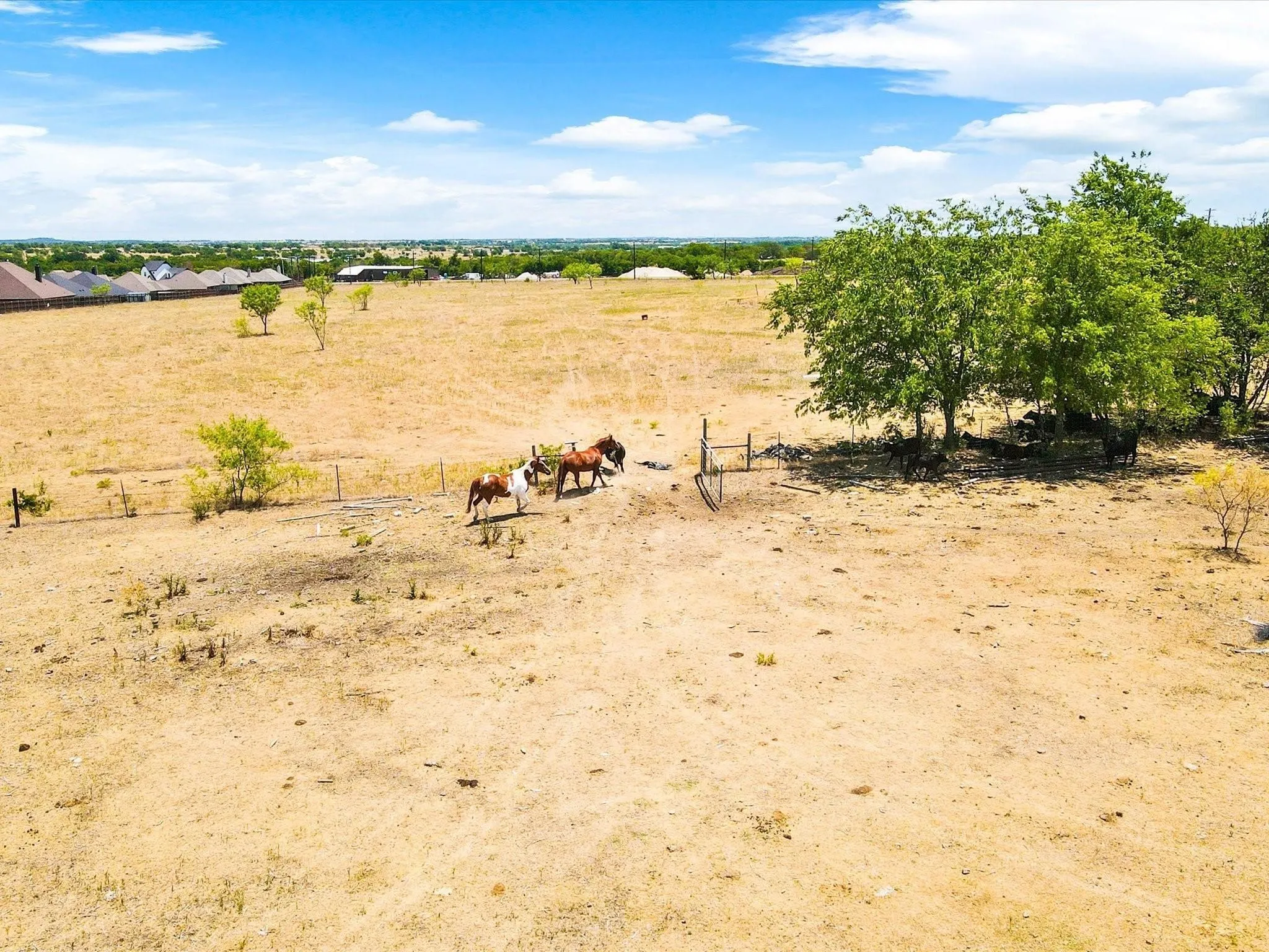Single Family Residence For Sale in Johnson County , 9501 Fm 2331, Godley, Texas 76044, 5 Bedroom, 3 Bathroom, 2 Garage spaces, 2,784 Sqft, built in 1997, mls#21385966, Real Estate Agent in Godley, Homes For Sale in Johnson county, Homes For Sale in Godley, Realtor in Godley Texas, Real Estate Brokerage Independent Realty Texas, Luminita Cordes Realtor
