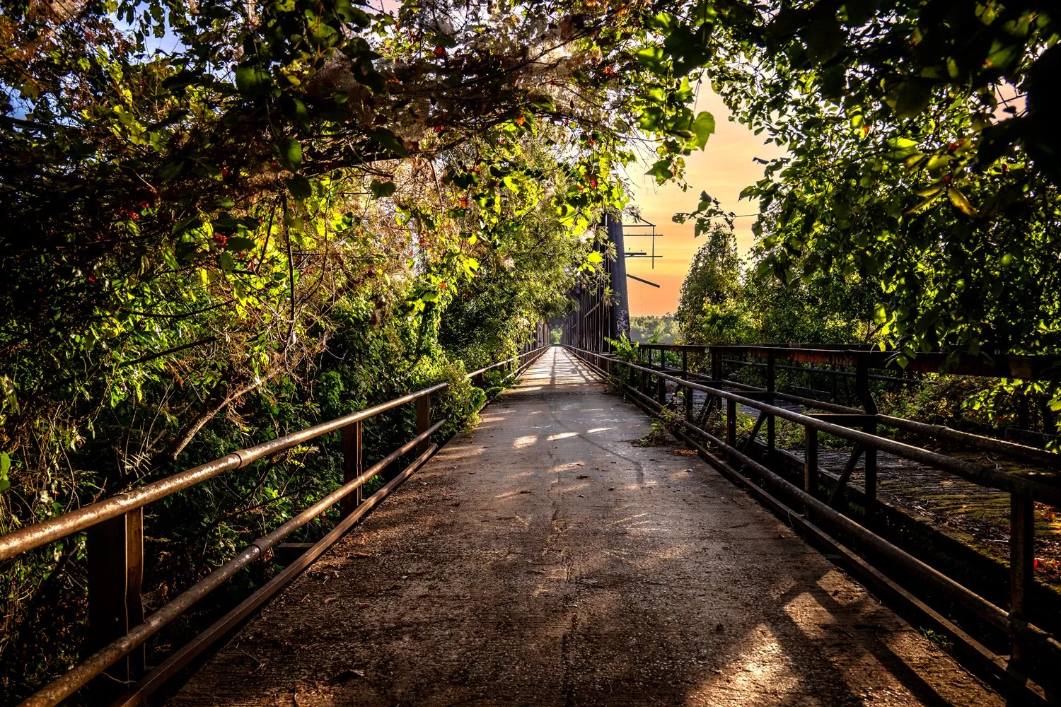 Historical Carpenter's Bluff Bridge on the Red River