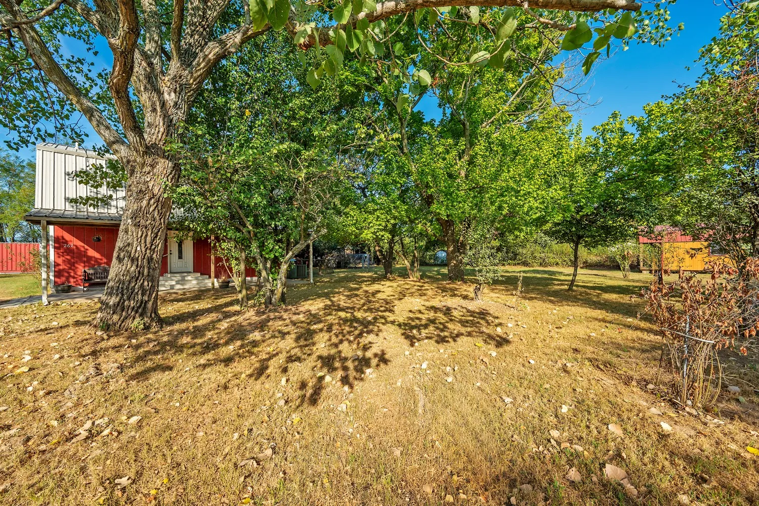 Front Yard
