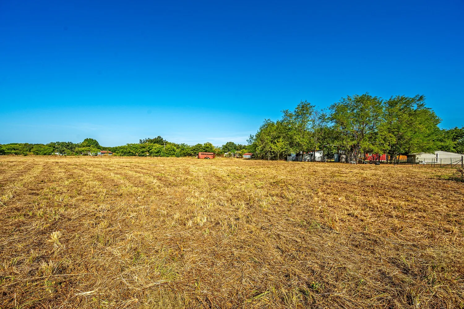 Pasture