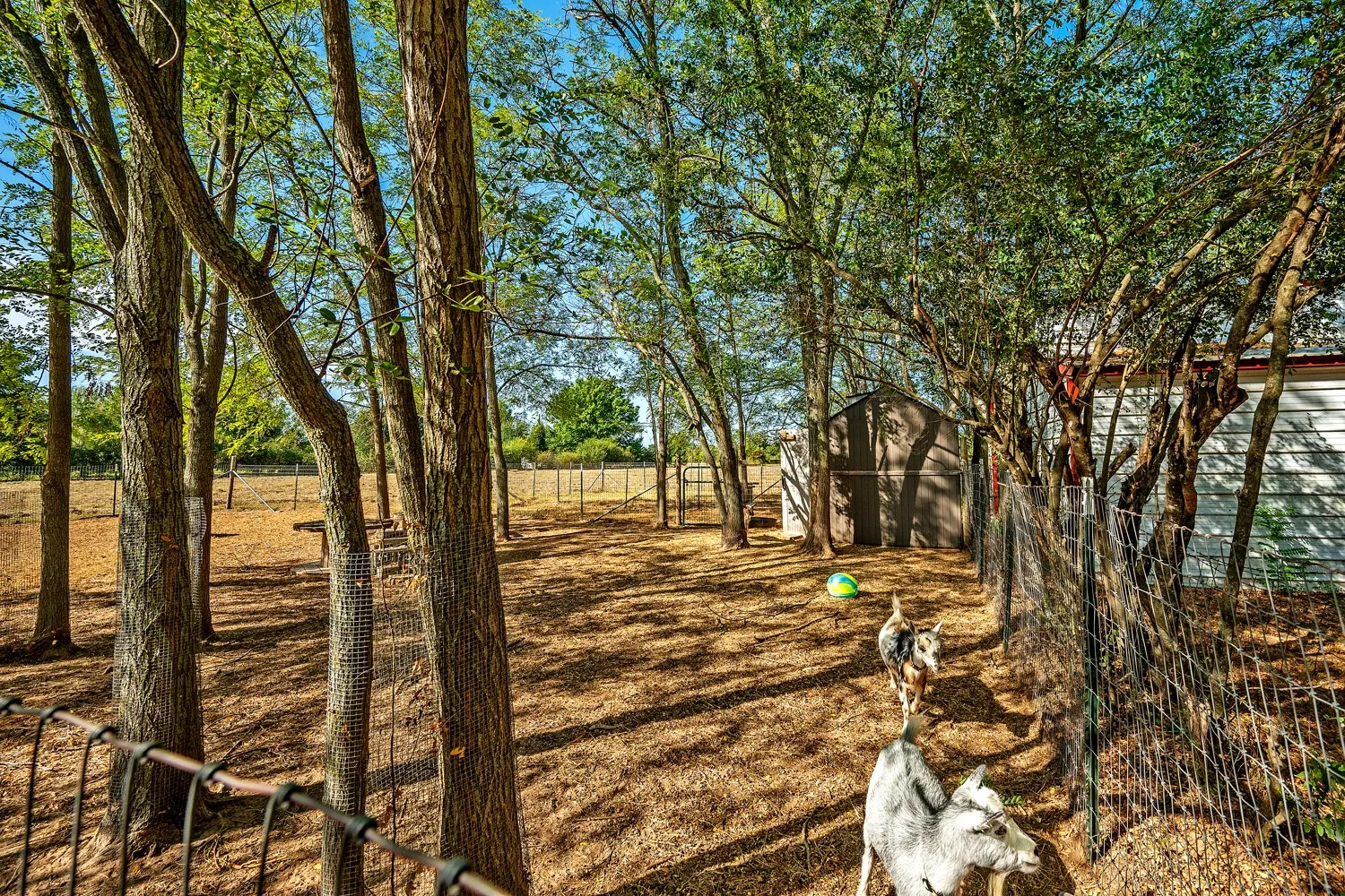 Livestock pen