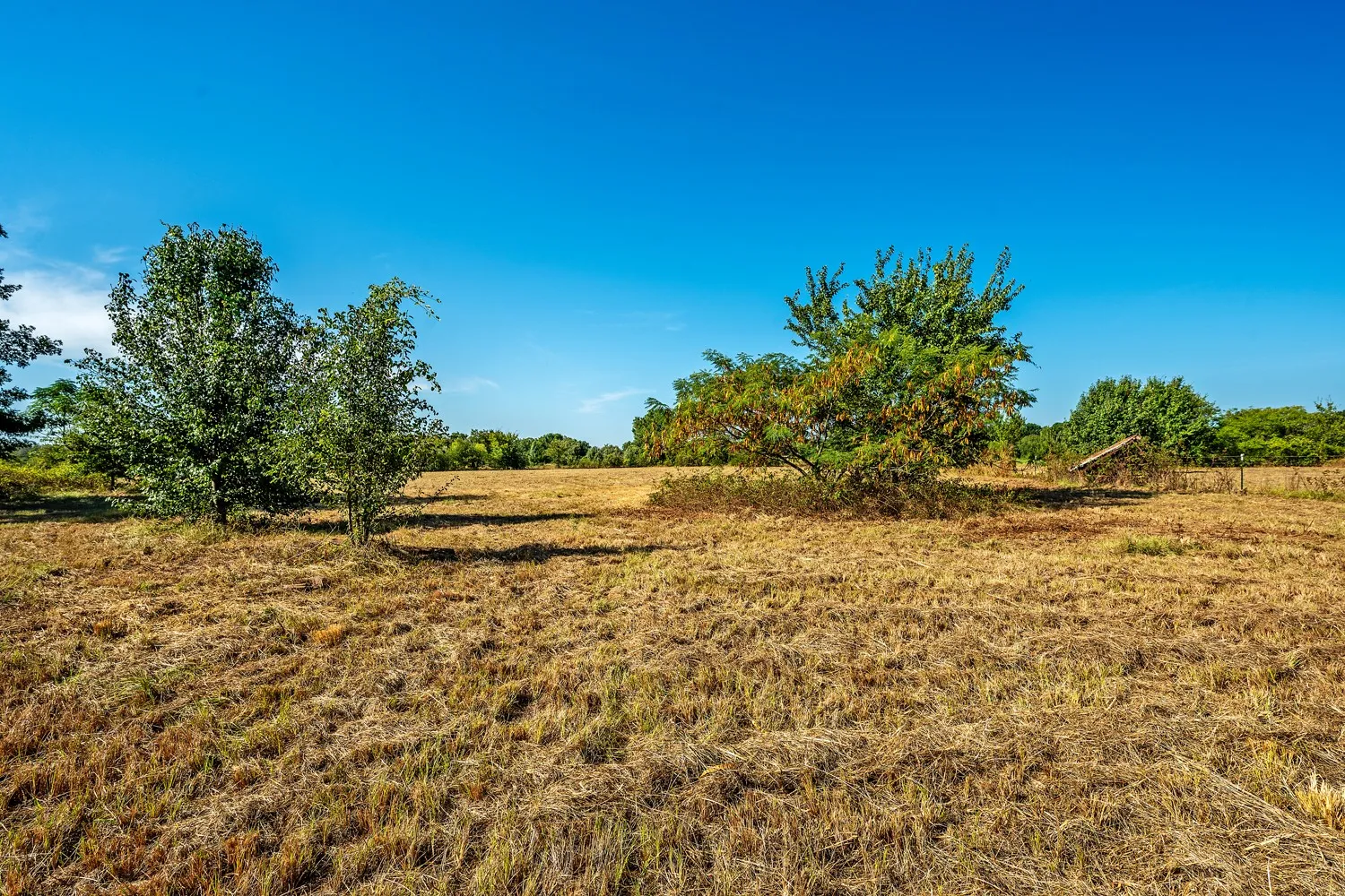 Pasture
