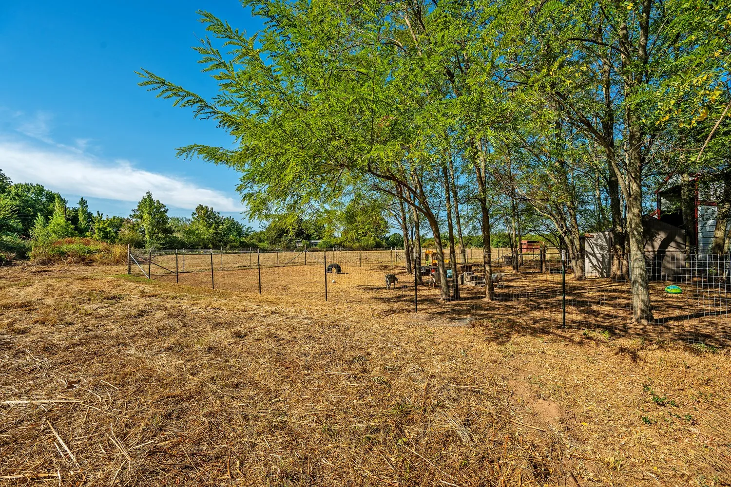 Pasture