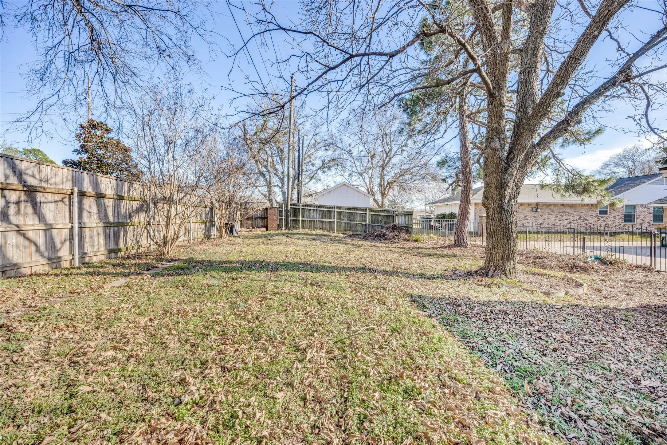 Alternate view of the backyard