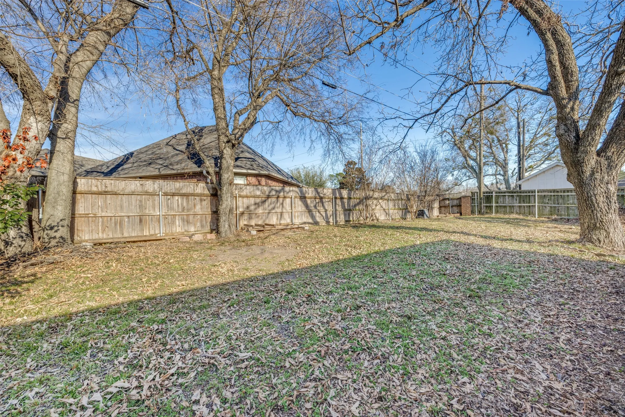 View of the large, treed backyard.